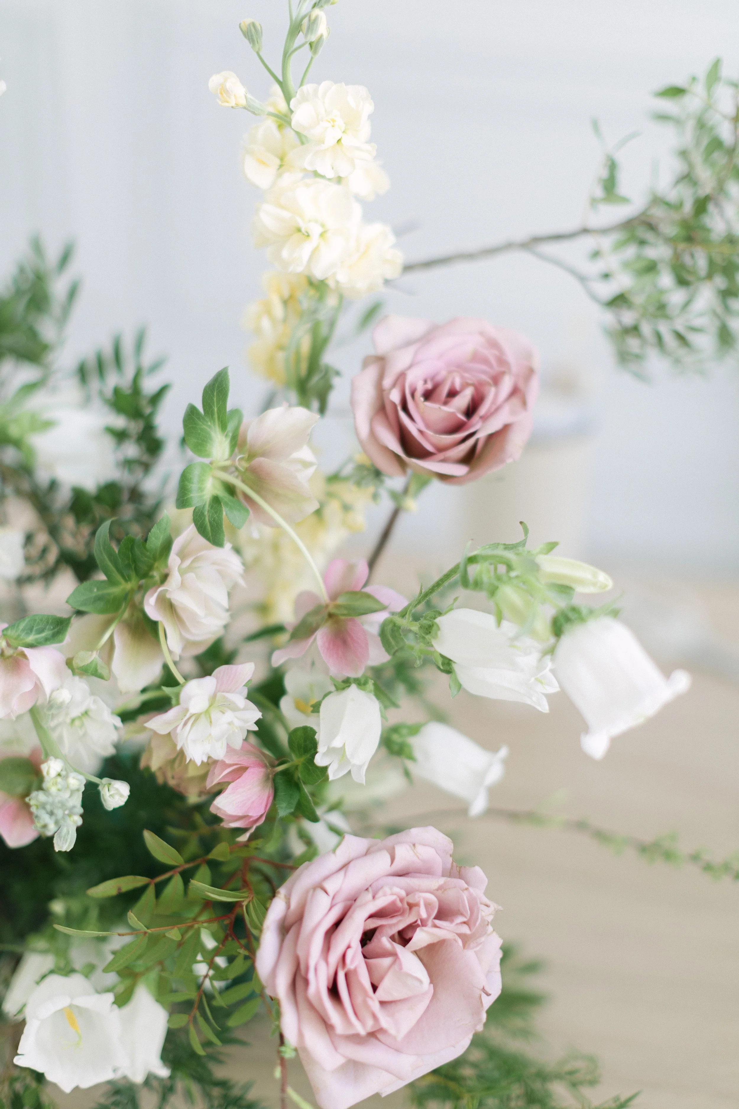 A close up image of a flower arrangement created by Twig & Bloom in Saskatoon. The arrangement is made up of mauve Roses, cream Stock, Hellebore and Campanula flowers.