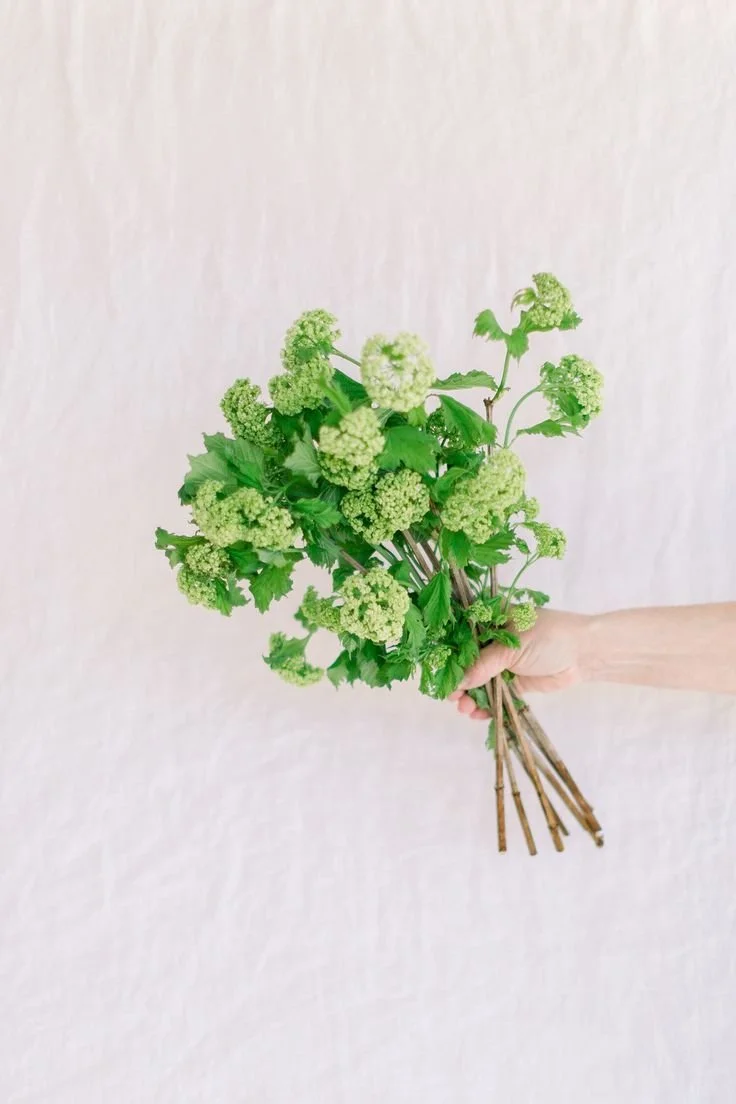 You make me blush — Twig and Bloom  — Saskatoon Flower Delivery.jpg