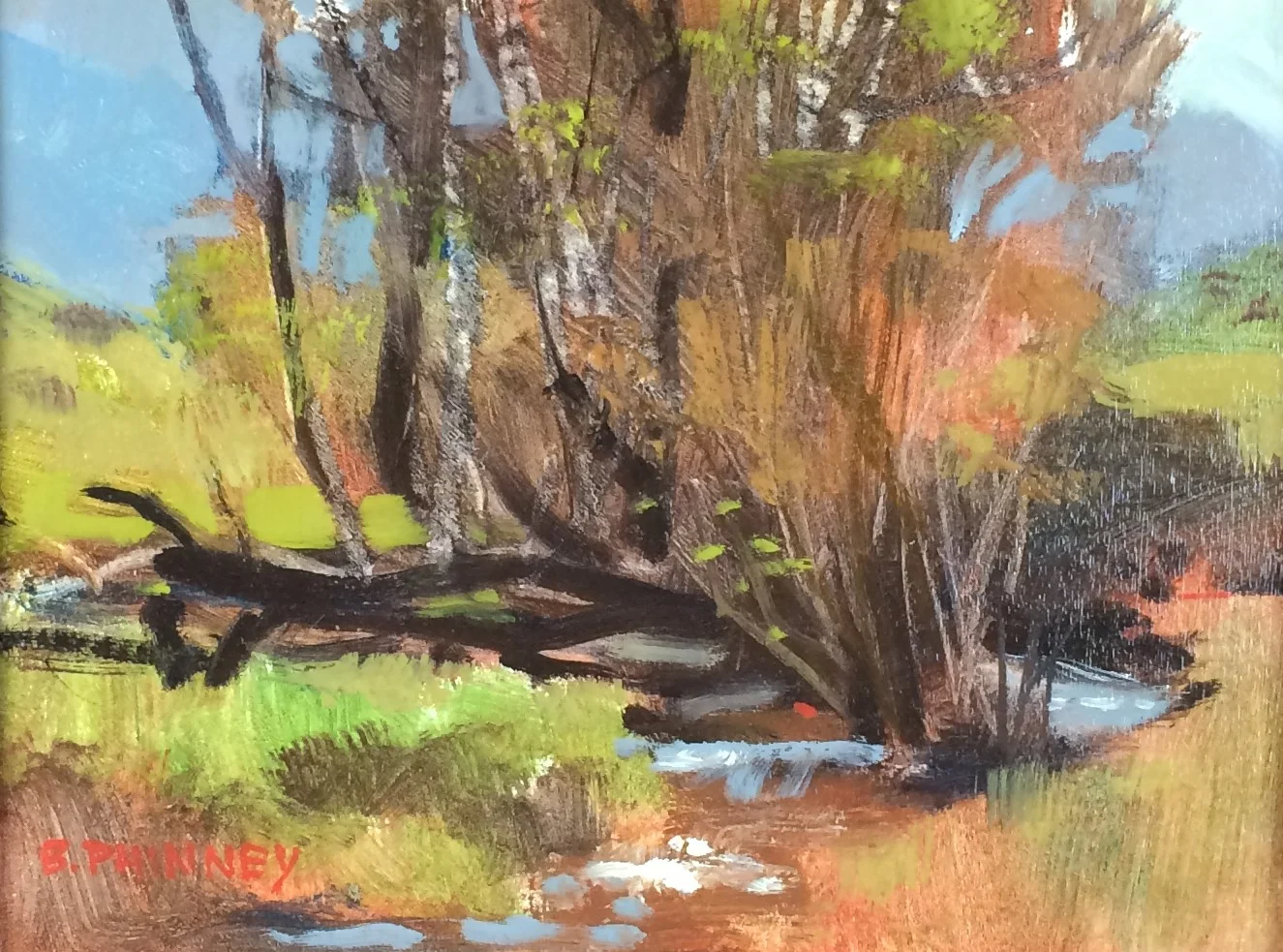 Ennis Afternoon - Bob Phinney
