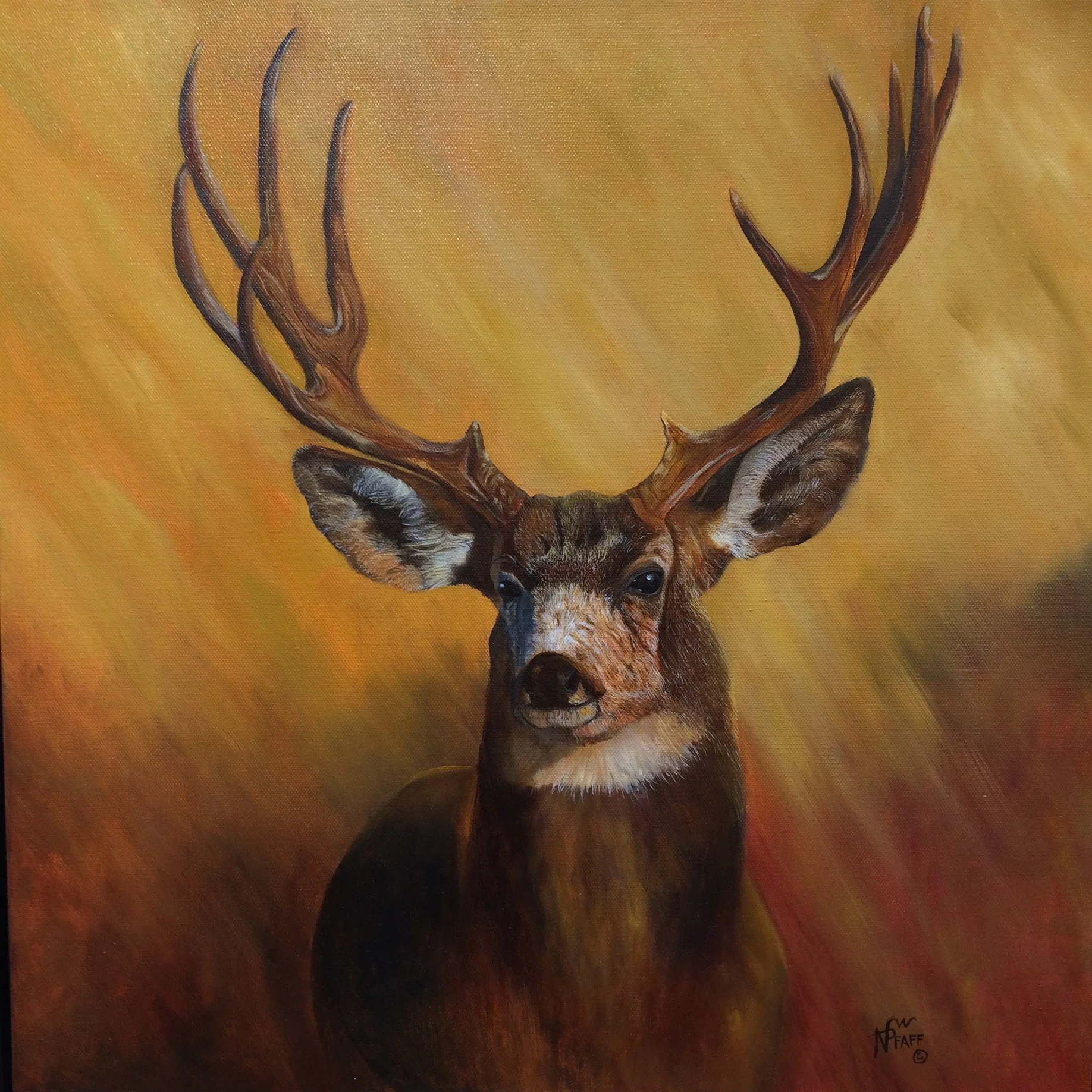 Out of the Shadows - Norma Lee Pfaff