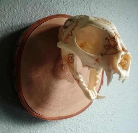 20170822_093432.jpg