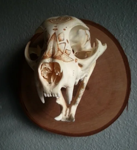 A very delicate outcome with a rather primal process.