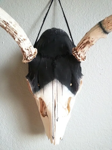 20170913_094919.jpg