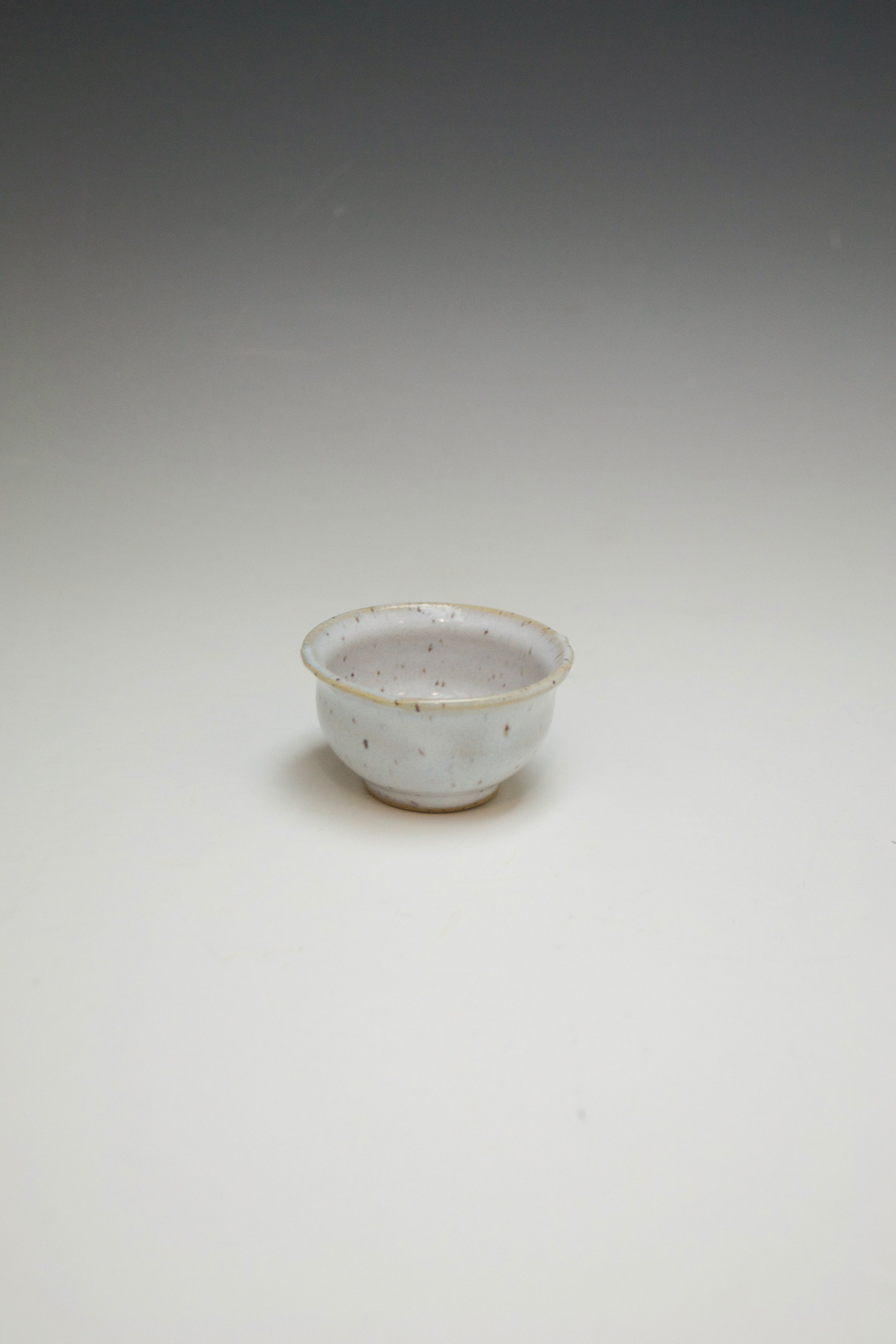 DSC_0599.jpeg