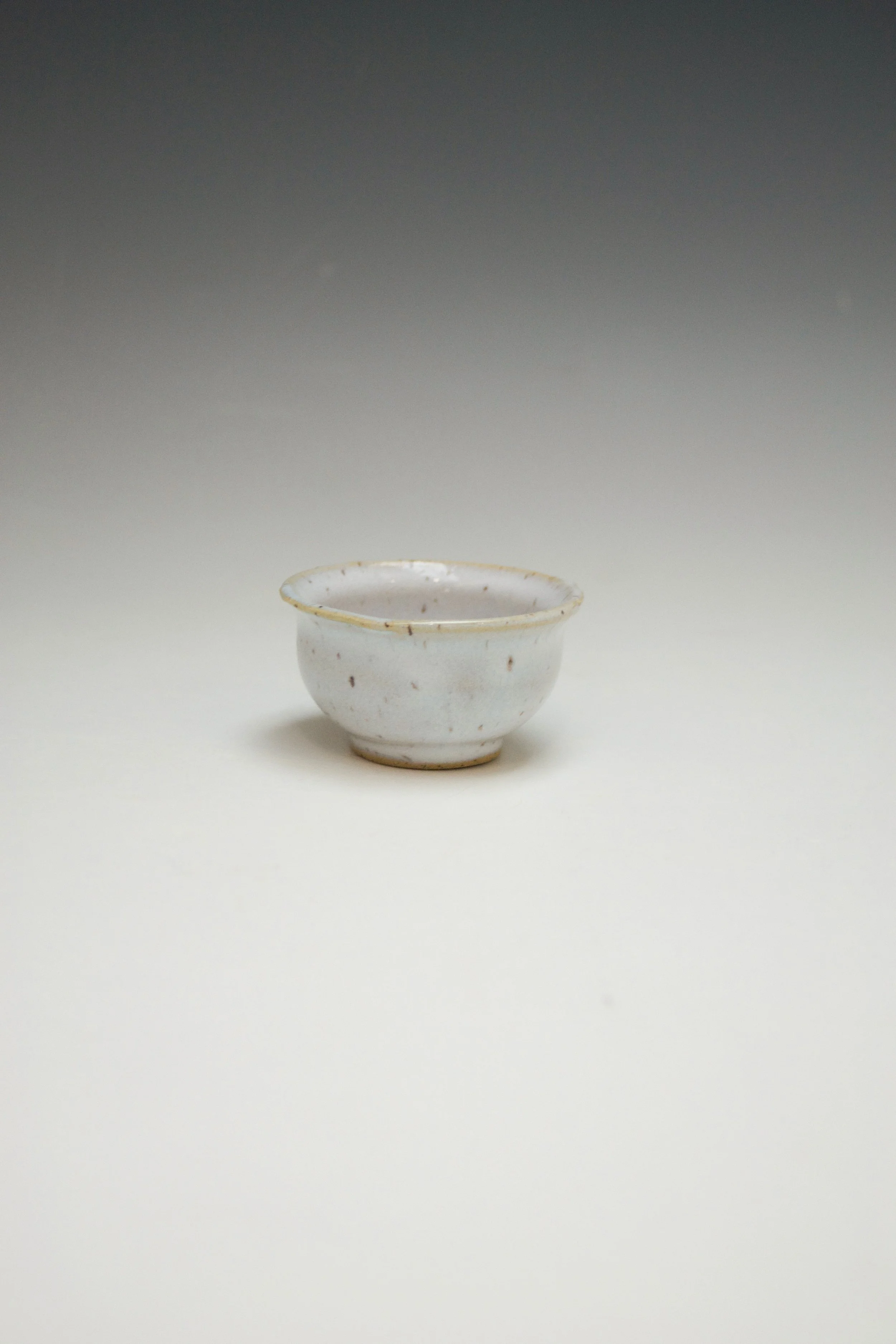 DSC_0600.jpeg