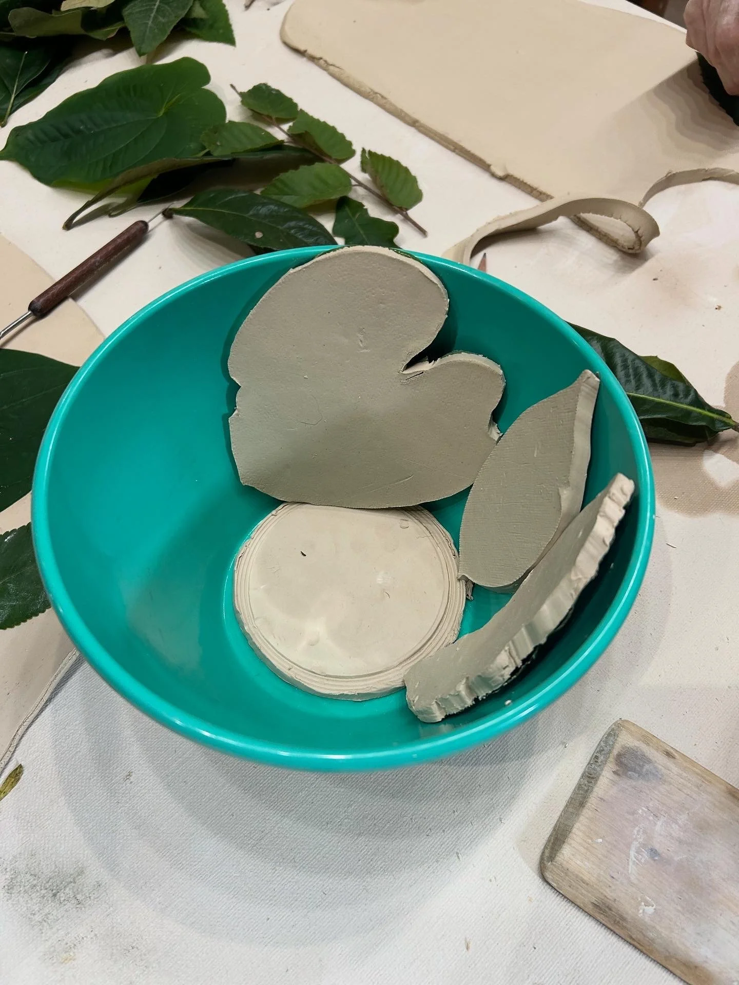 2CF882D2-48B4-4369-B63E-82373BE0C038 2.JPG