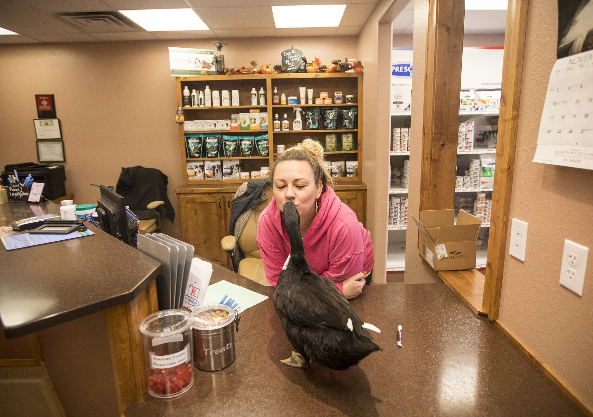  Amanda Langley gives her pet duck Sarge a kiss while they work at the office at Gillette Pet Vet on Tuesday, November 19, 2019. Sarge is four-month-old Black Swedish mix. “I recommend that people do a lot of research before getting a duck as a pet,”