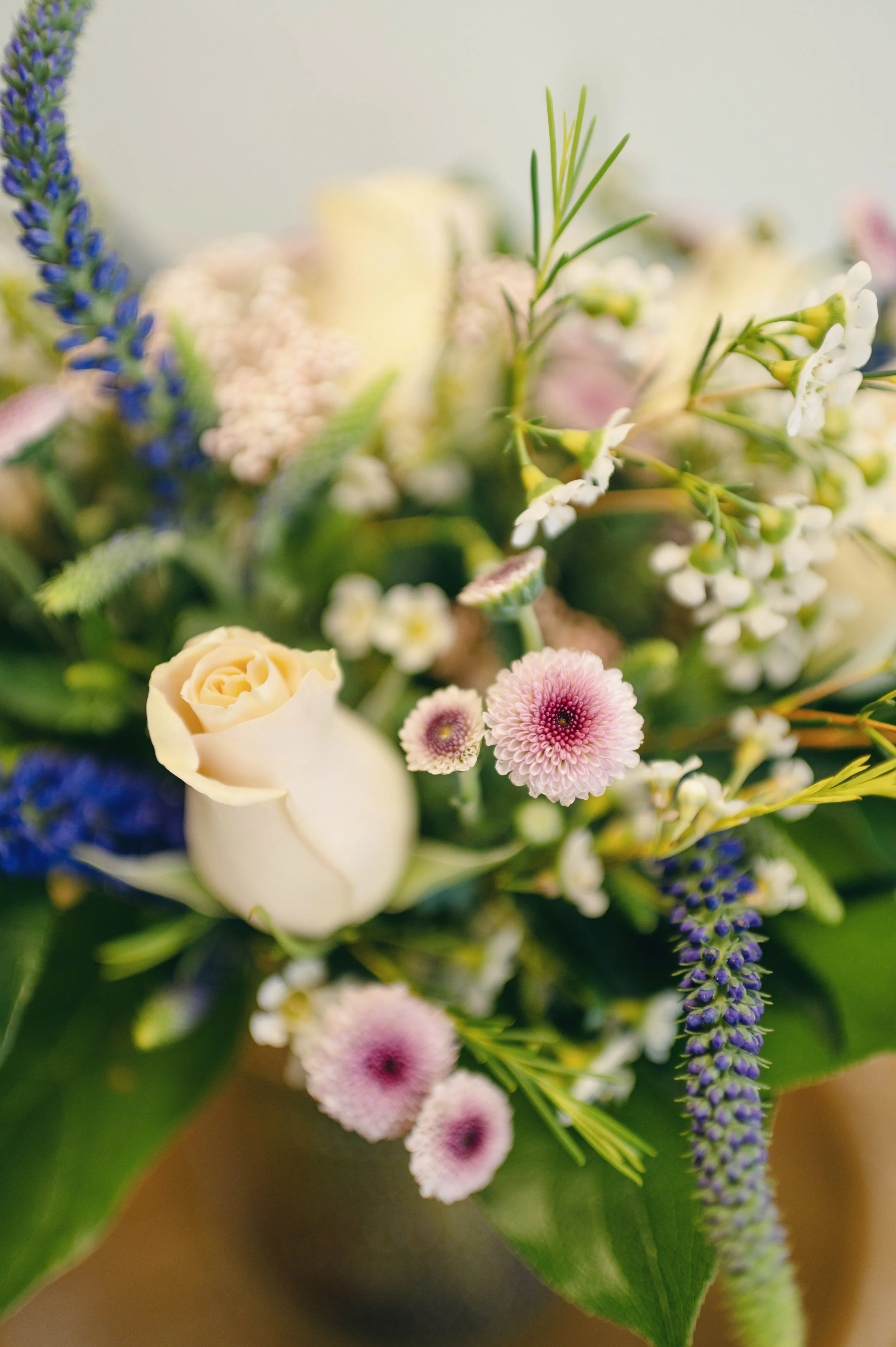 2025_May_Bunches_006.jpg