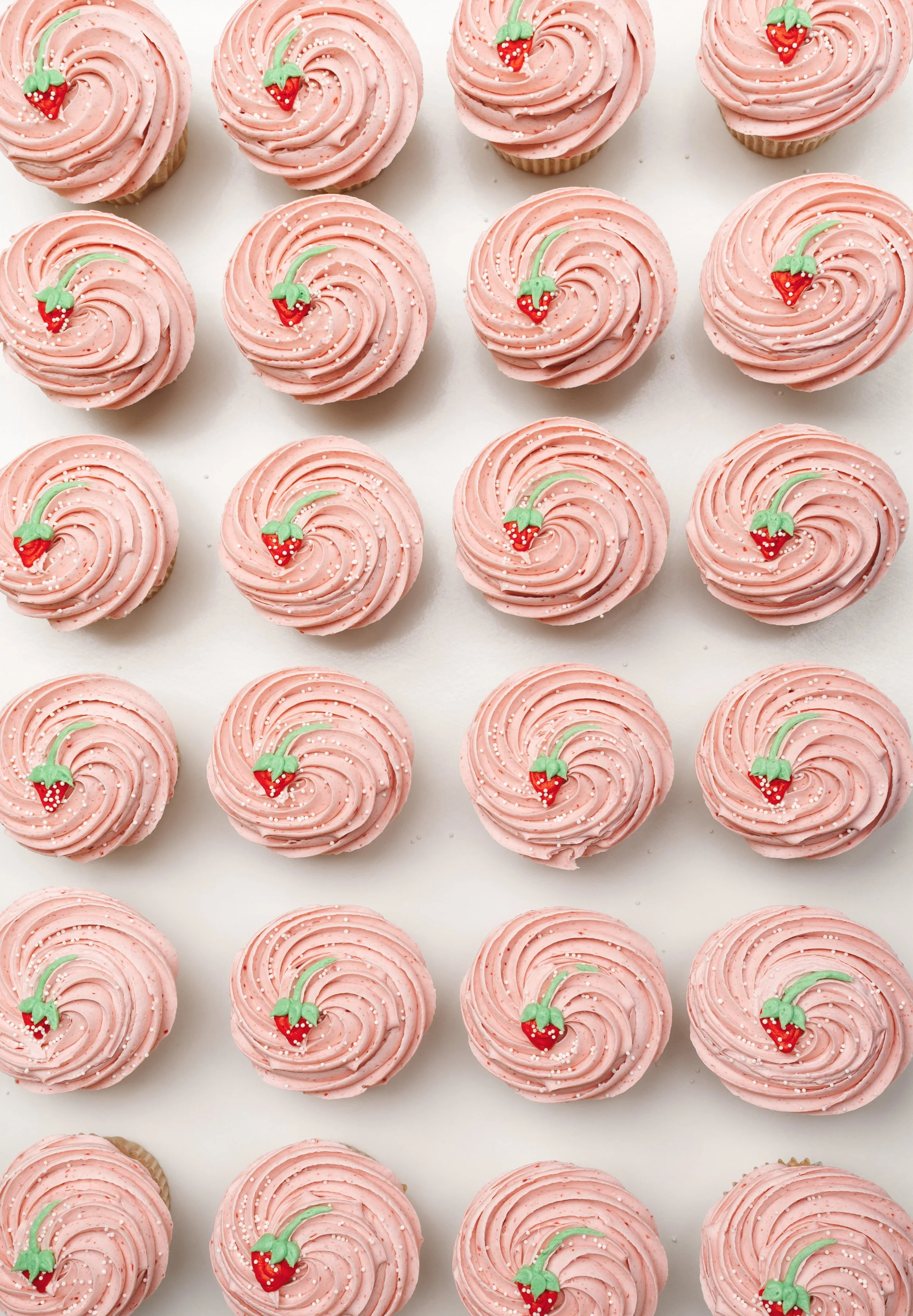 2025_IOTC_CUPCAKE_0020_ALT.jpg