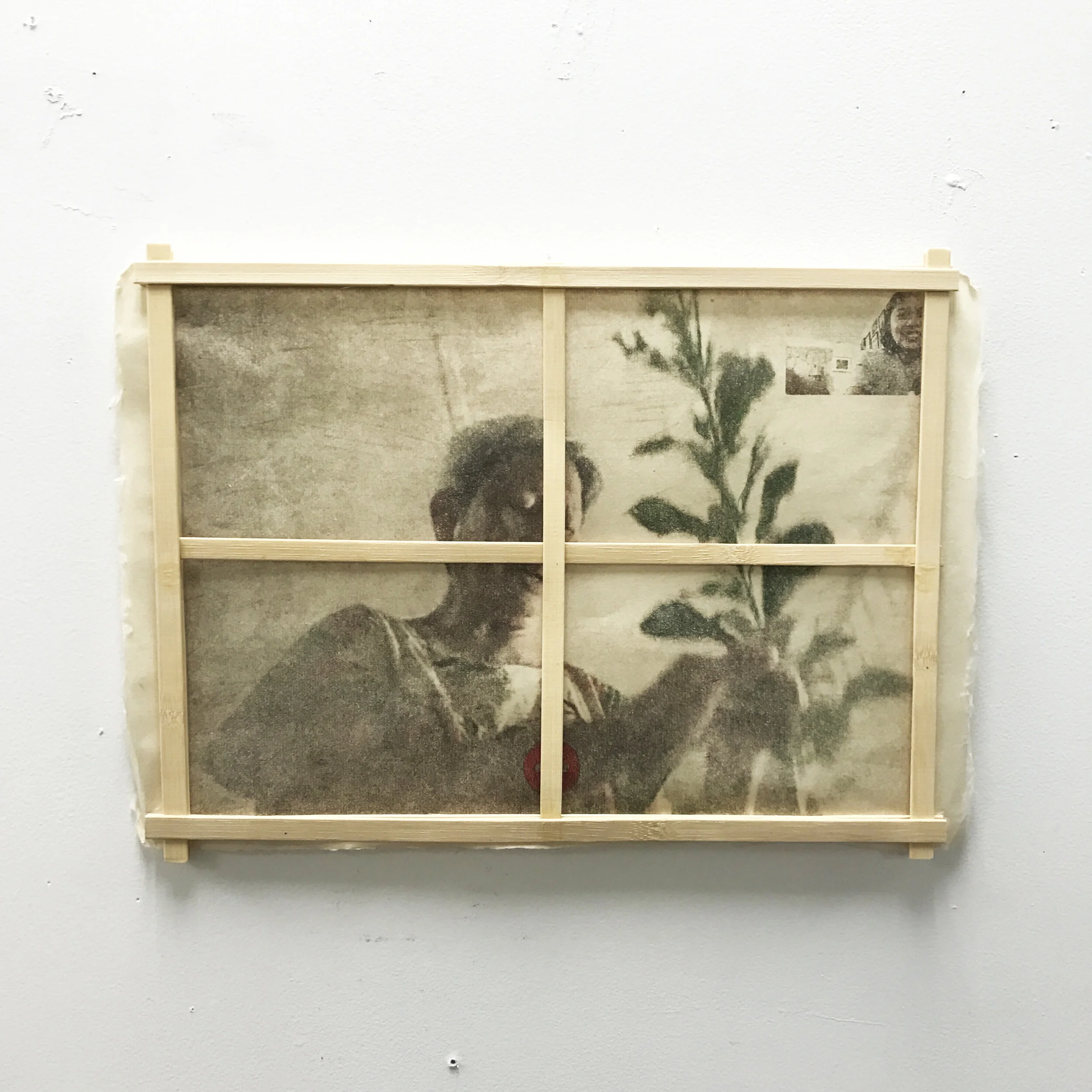 Through the Window