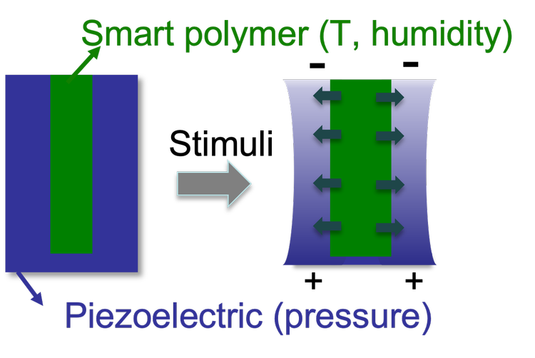 Smart core/shell nanorod concept