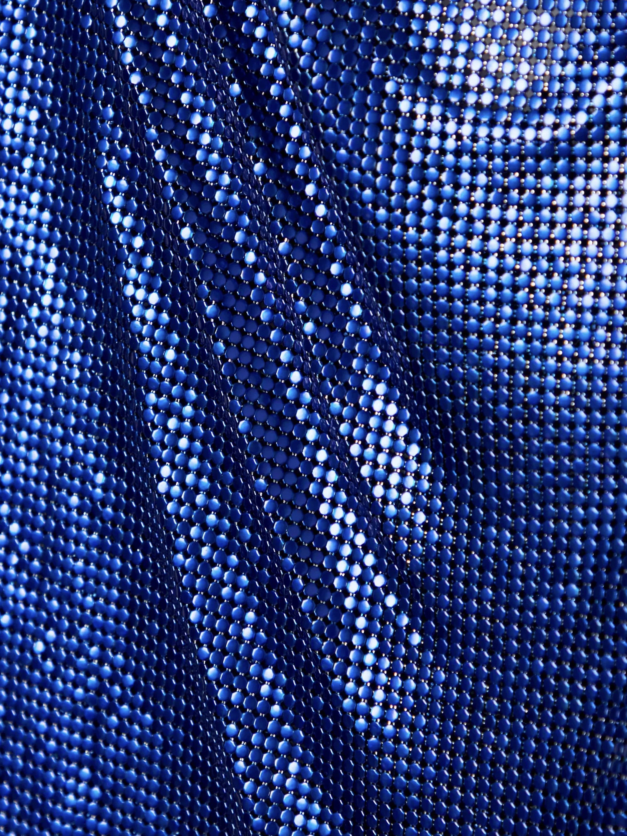 fannie schiavoni mesh blue.jpg