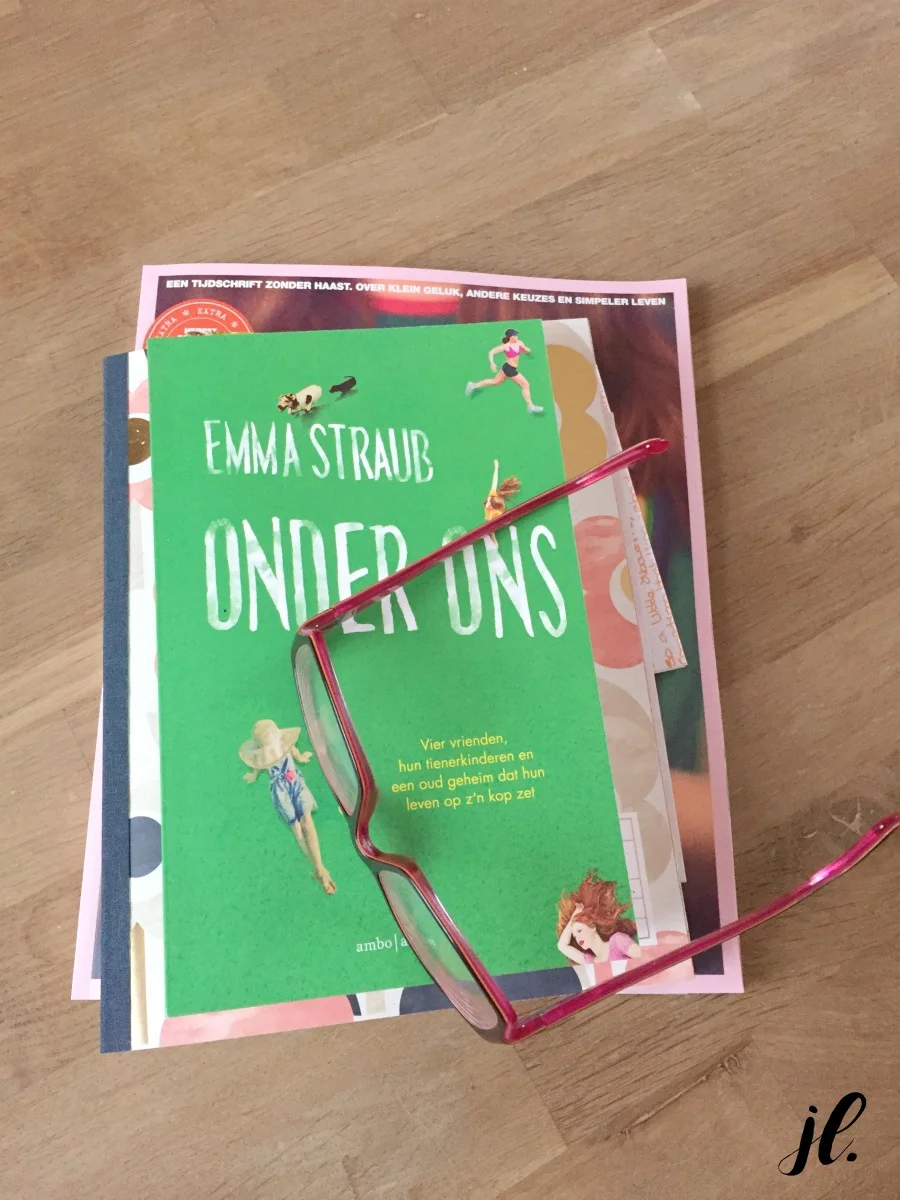Jules and Louis Blog | Book Review Emma Straub Modern Lovers.jpg