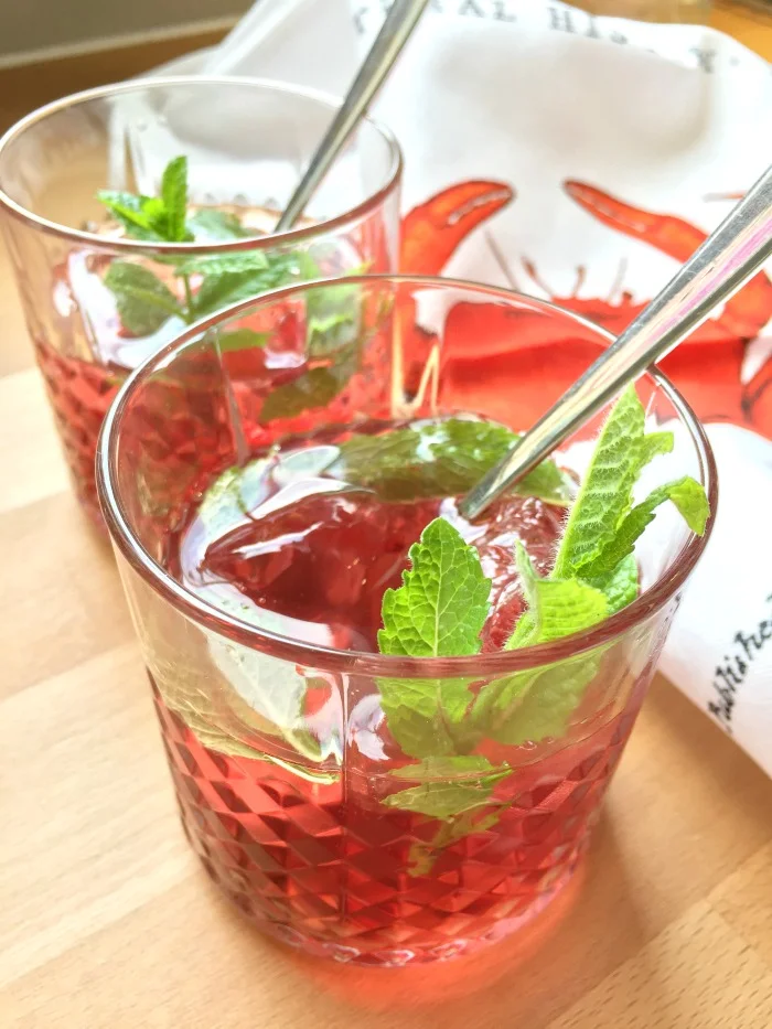 Jules and Louis Blog - DIY Indian Summer Mojito cocktail.jpg