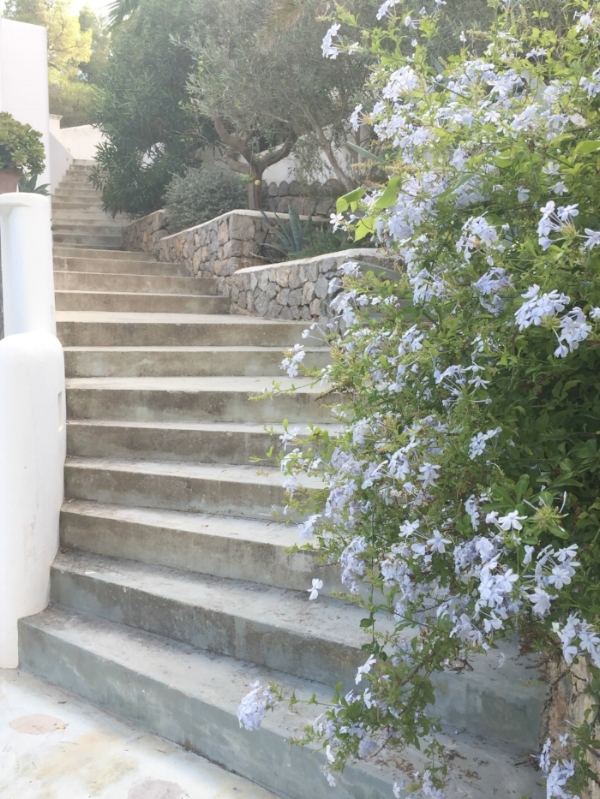 Jules-and-Louis-Blog-Casa-Supernova-stairs-with-flowers.jpg