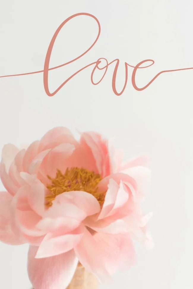 jules-and-louis-blog-happy-love-day-rose-blush-lettering.jpg