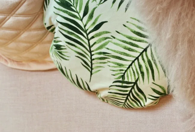 Jules and Louis Blog - Local Hotspot in Bruges - Lilola shop - pillows and cushions.jpg