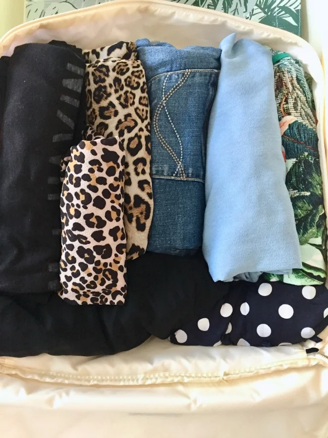 Jules and Louis Blog - How to pack for vacation - inside packing cube.jpg