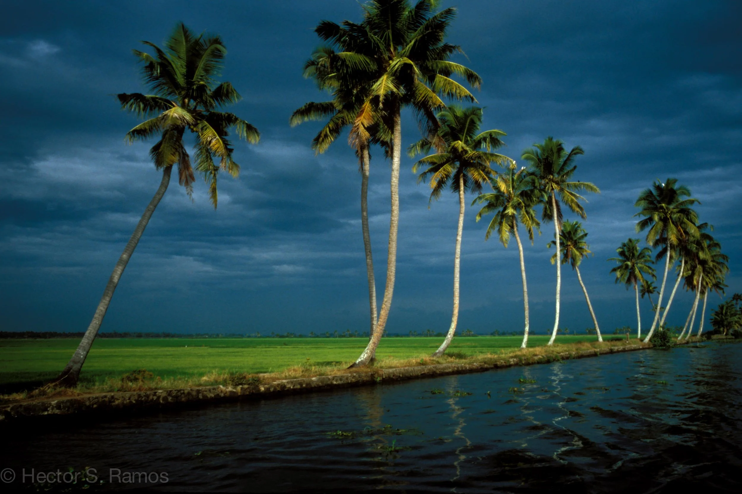 Kerala backwaters. Photo: Leica MP, 35mm Summilux, Velvia 50. 