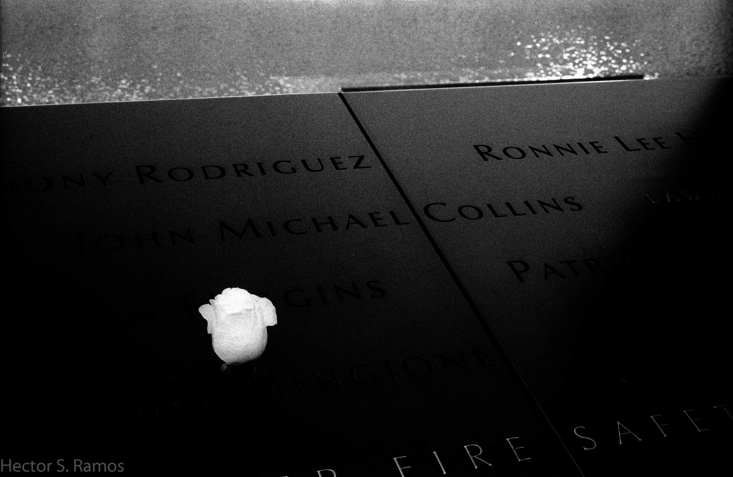 I saw people say prayers, touch the name of loved ones, shed tears and tell stories, and put rose flowers. September 11 Memorial.