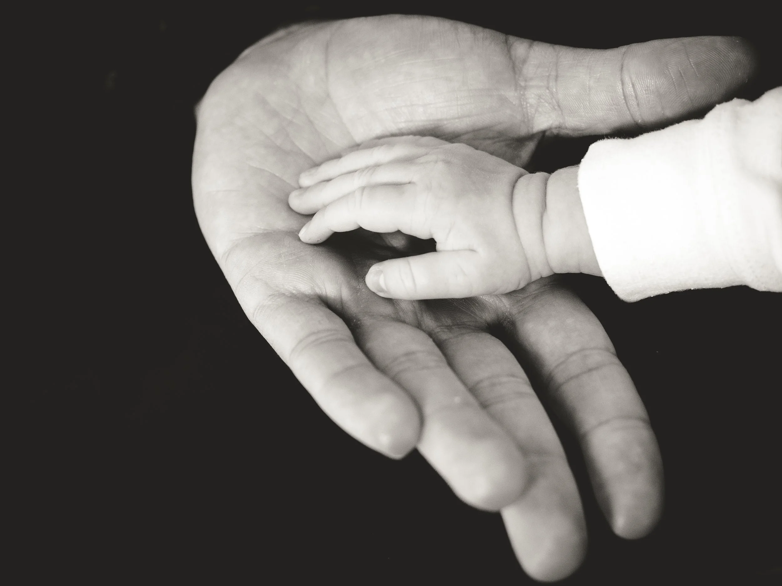 Parenting and the Art of Letting Go