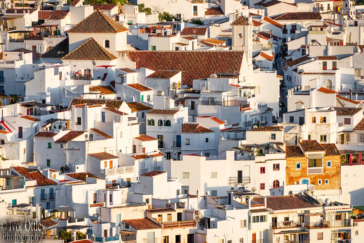 Fragiliana Rooftops unsharpened web_.jpg