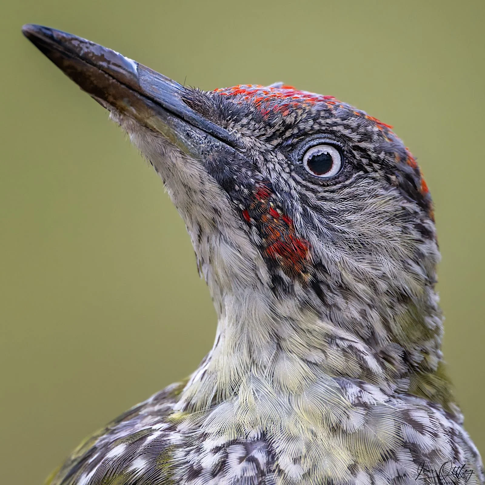 WhatsApp Image 2025-09-03 at 09.29.38.jpeg