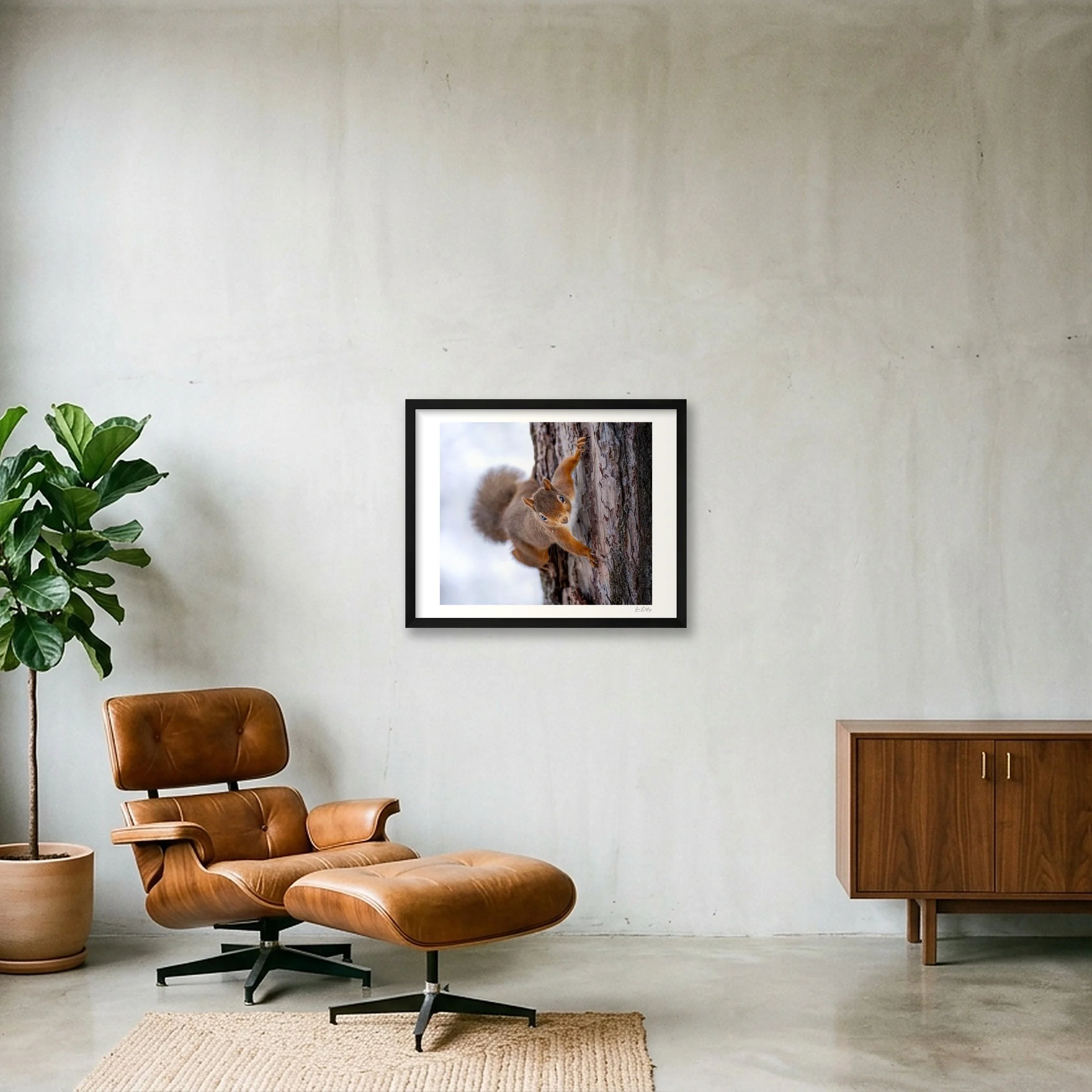 shot_wall_e505c54e.jpg