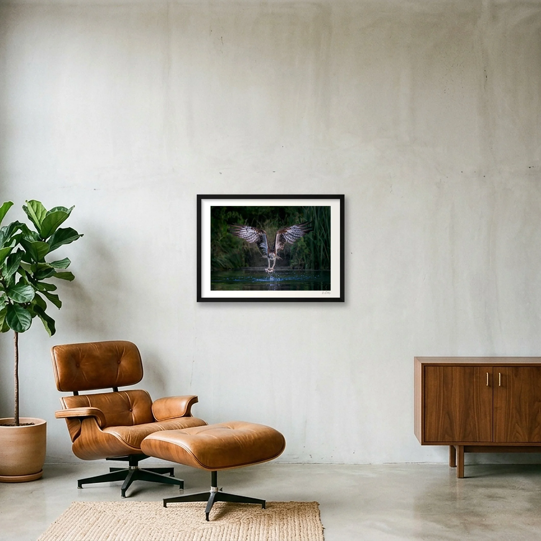 shot_wall_3e8b0617.jpg