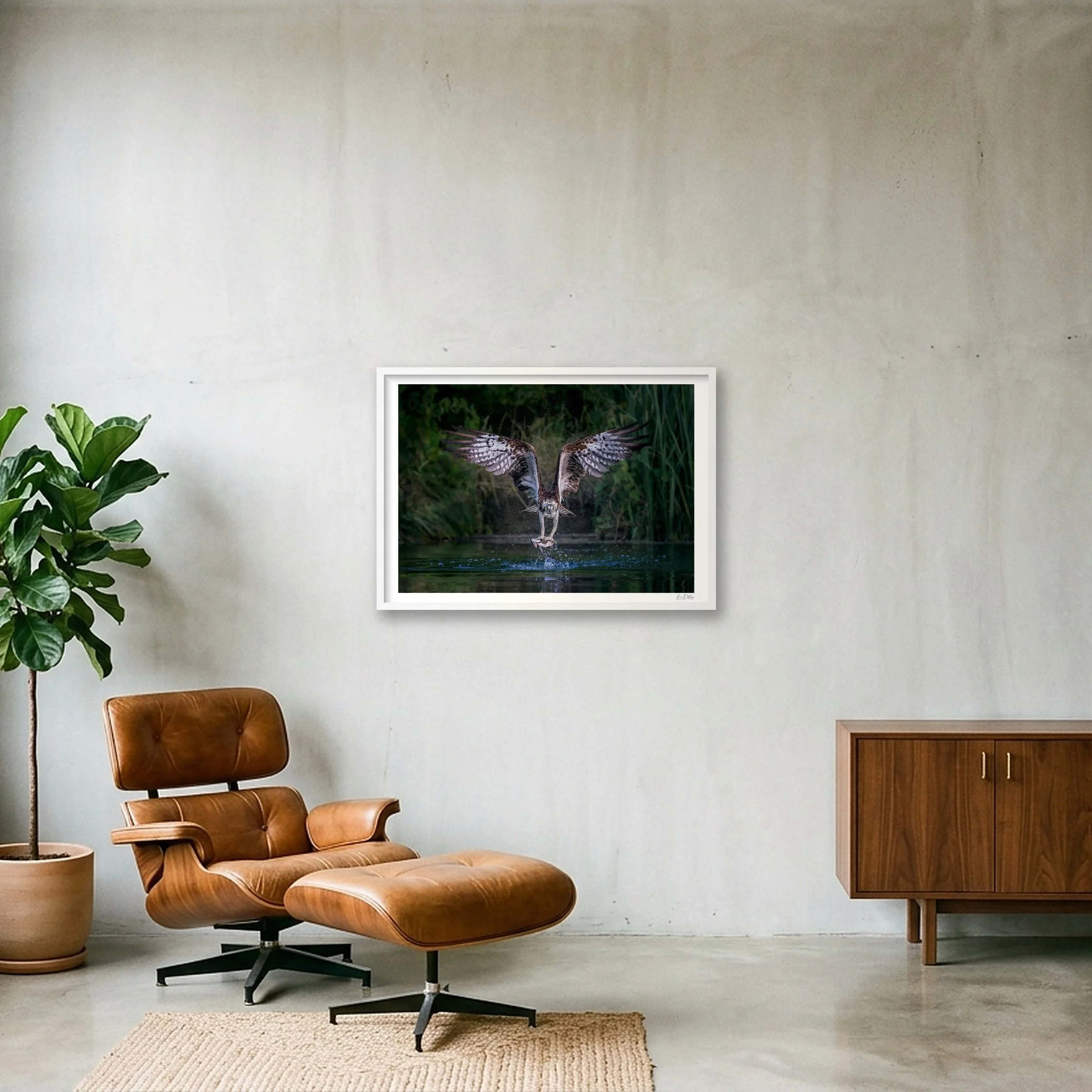 shot_wall_3958d4a3.jpg
