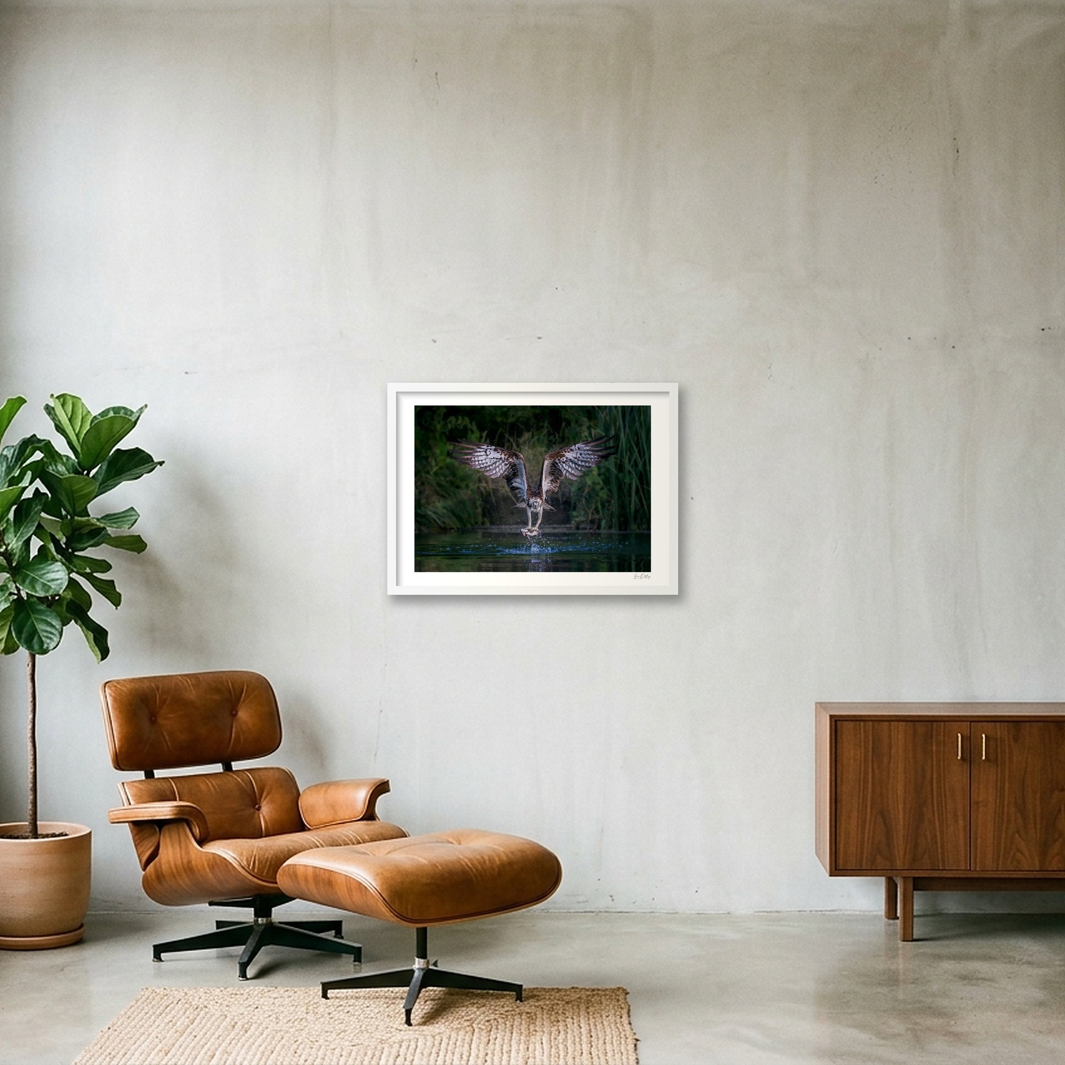 shot_wall_c6f70071.jpg