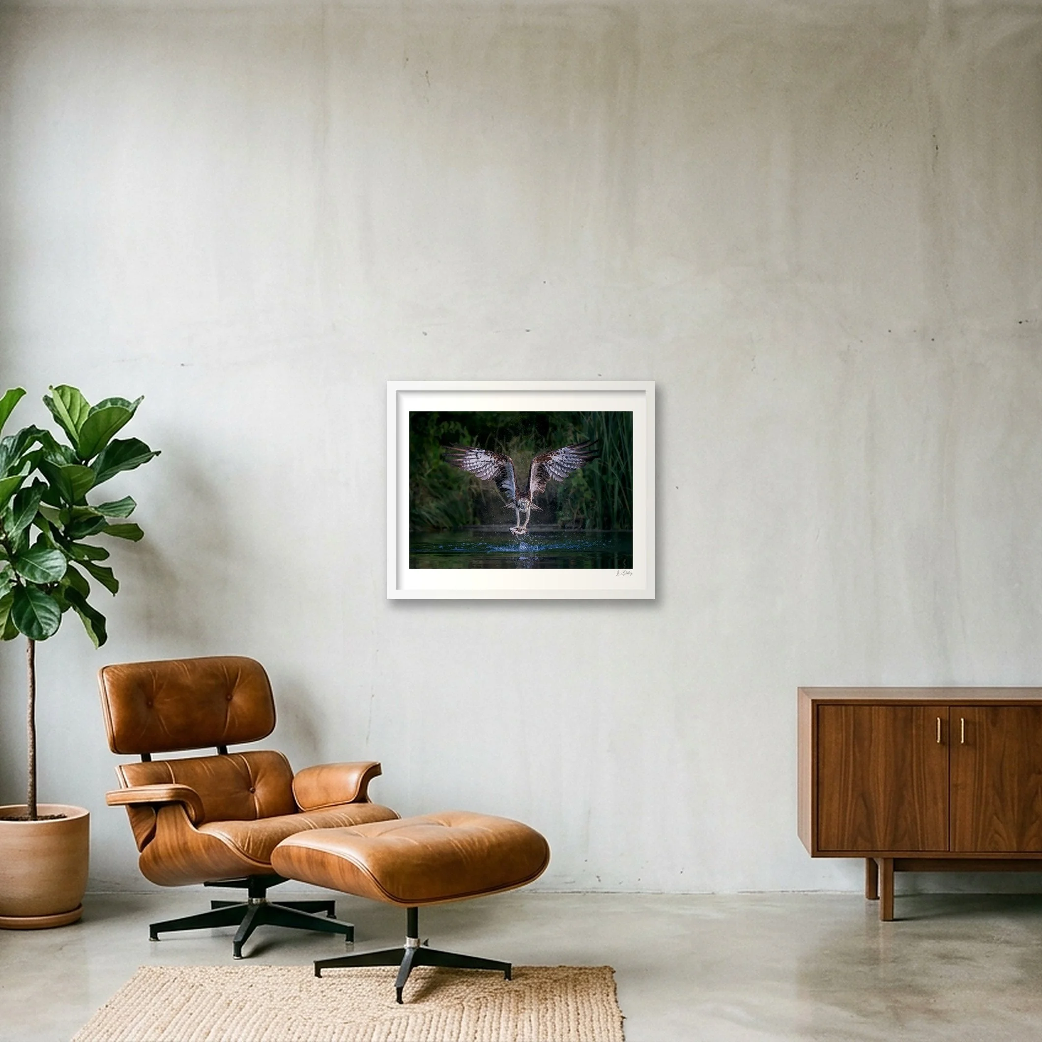 shot_wall_96c8ee32.jpg