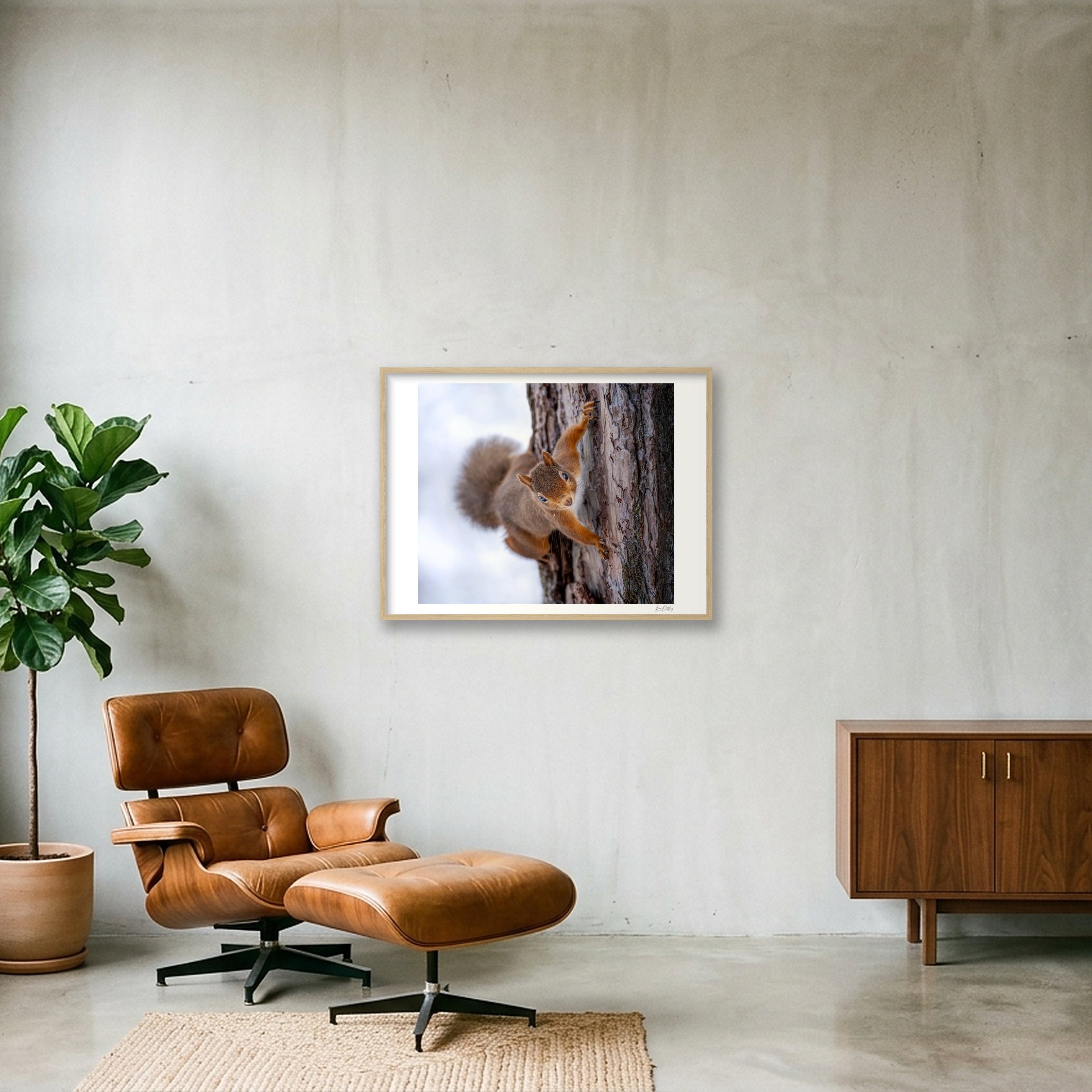 shot_wall_86dd1b58.jpg