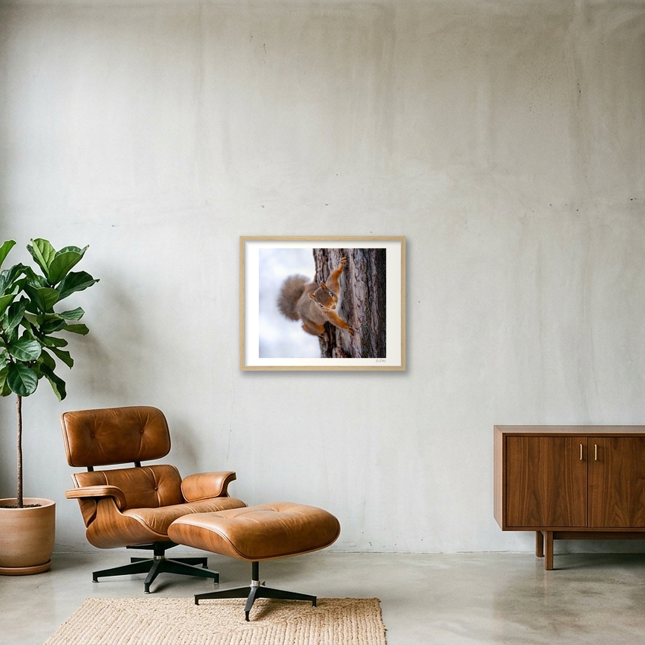 shot_wall_68cb0f91.jpg