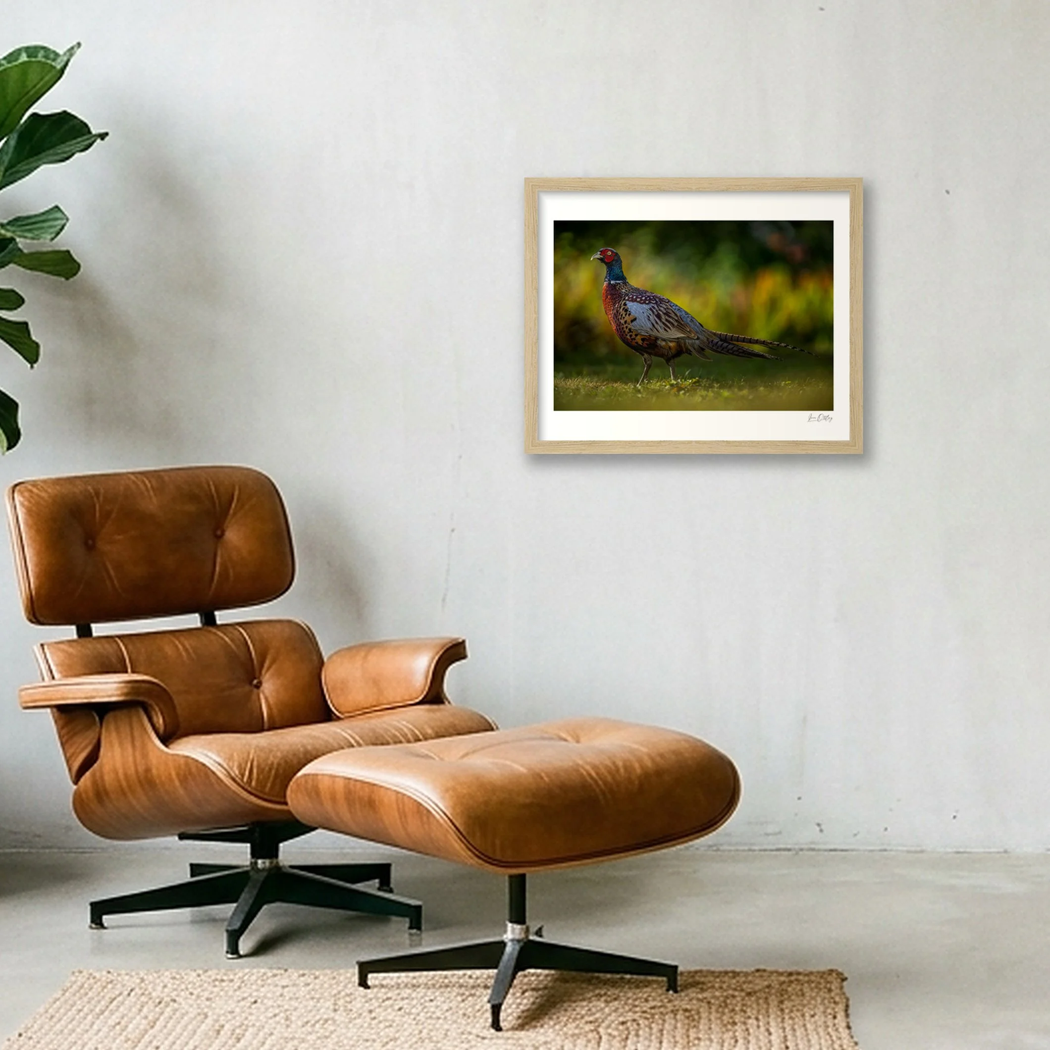 shot_wall_1b5966ae.jpg