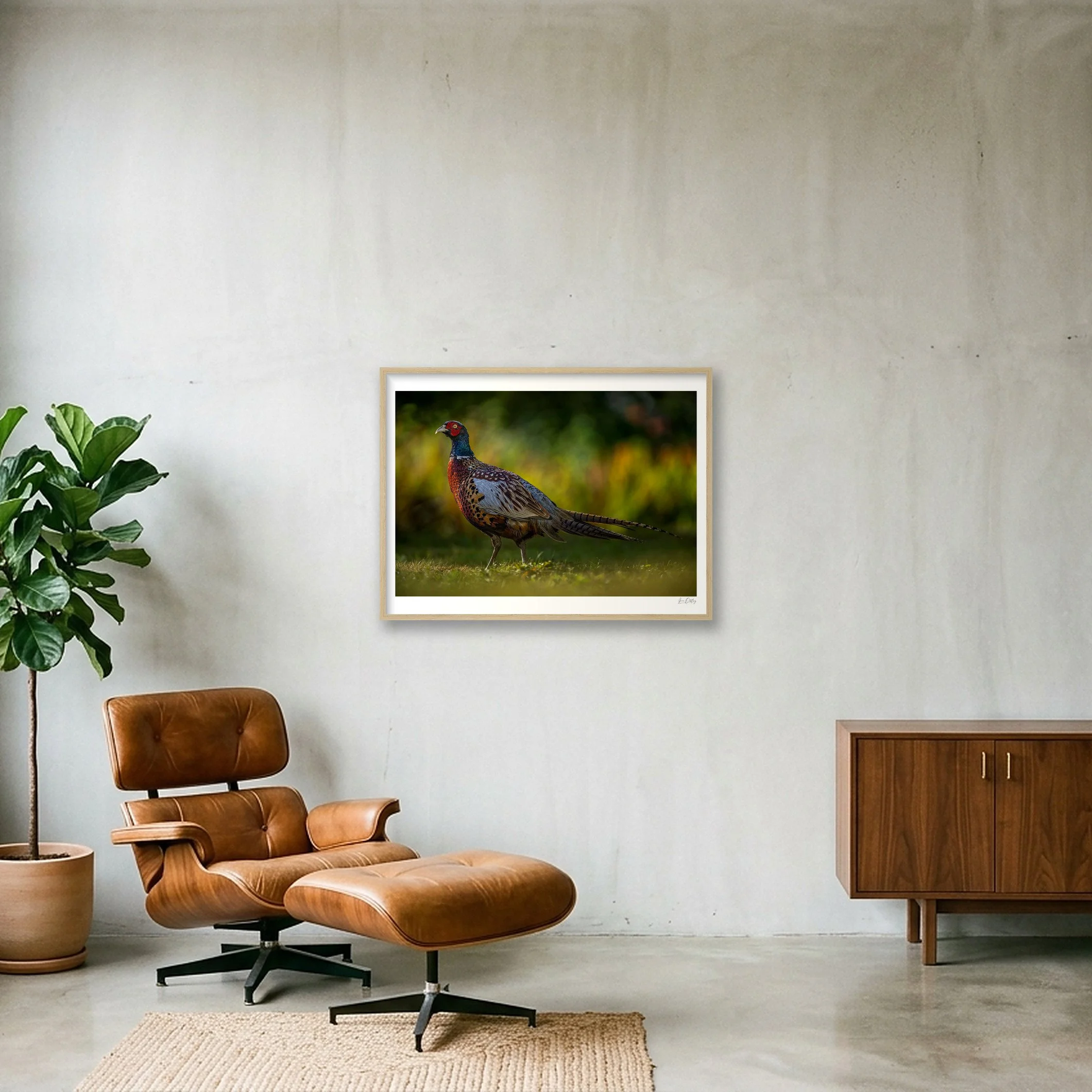 shot_wall_32b81e98.jpg