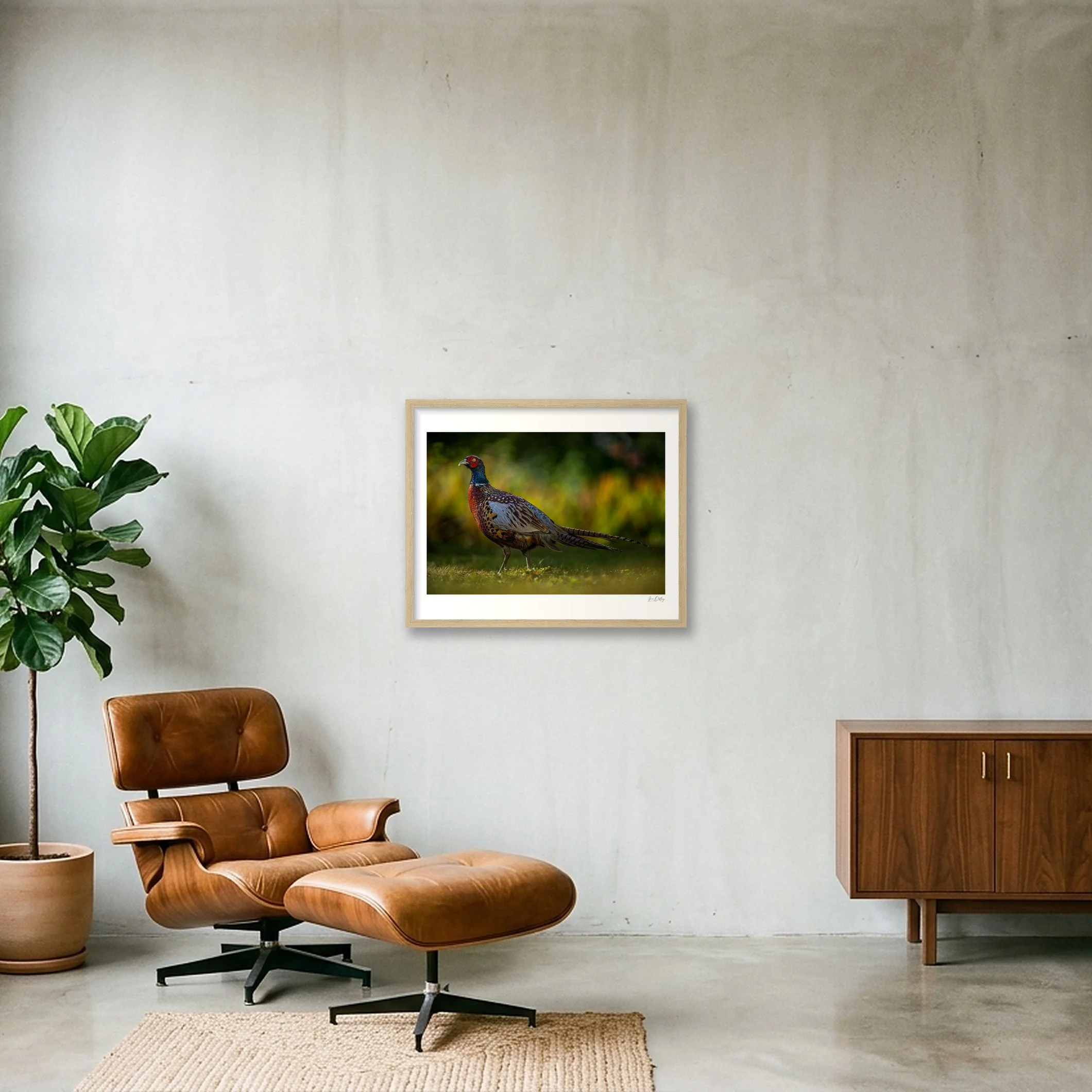shot_wall_906b9f93.jpg