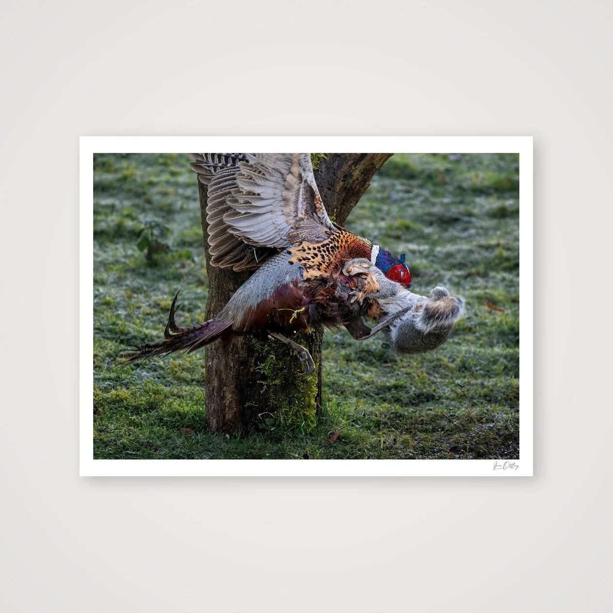 shot_table_0a8f05f0.jpg