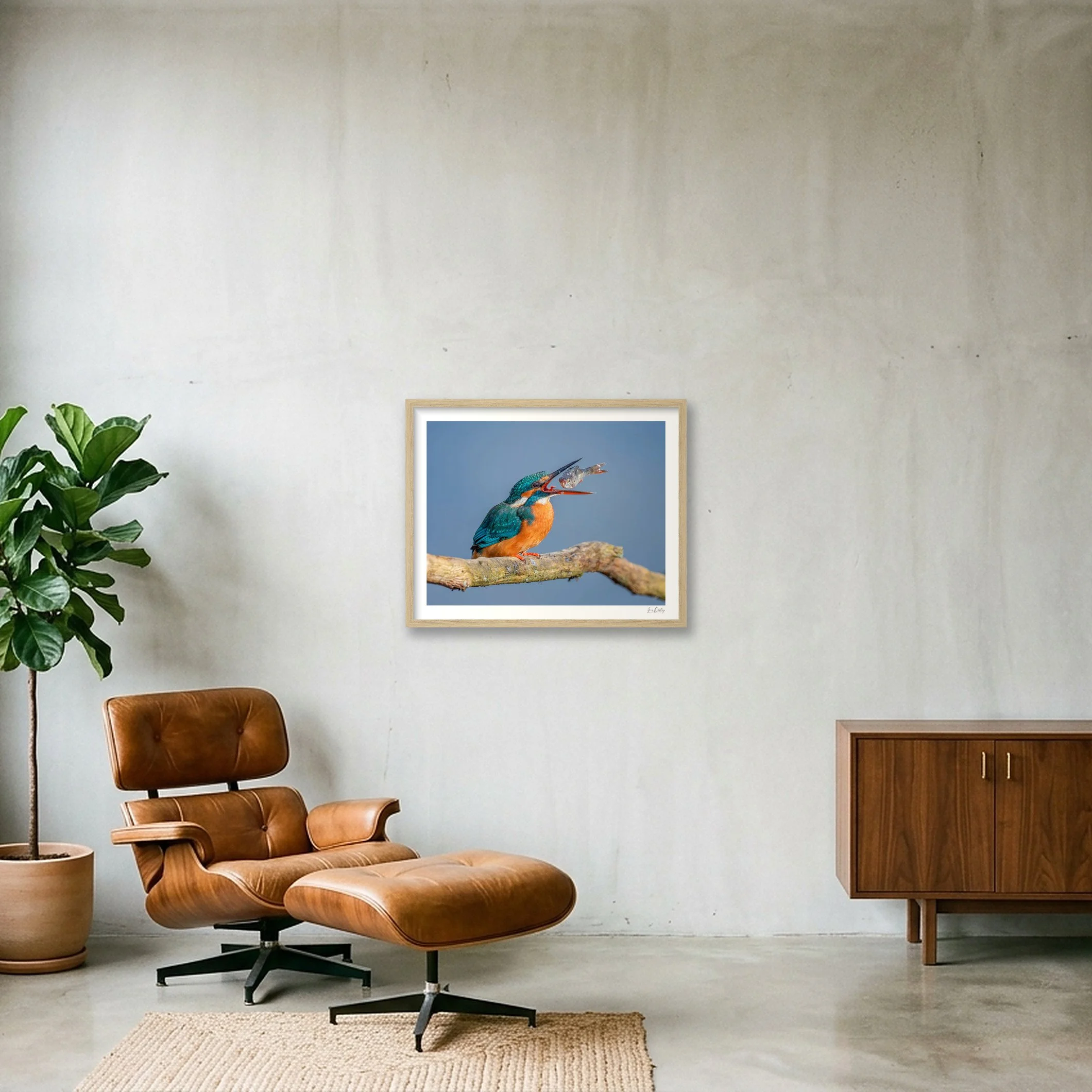 shot_wall_d7d1466e.jpg