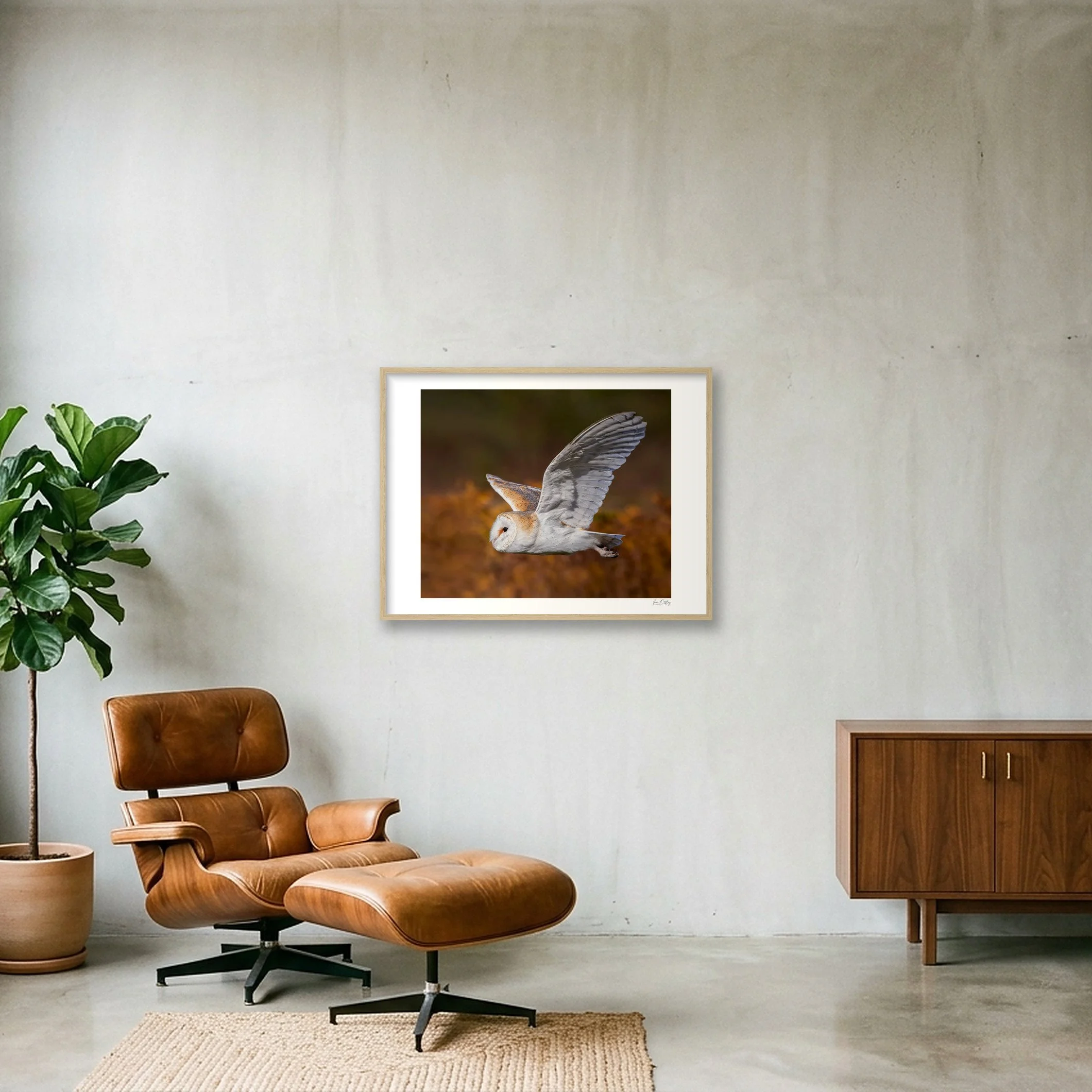 shot_wall_b9e27900.jpg