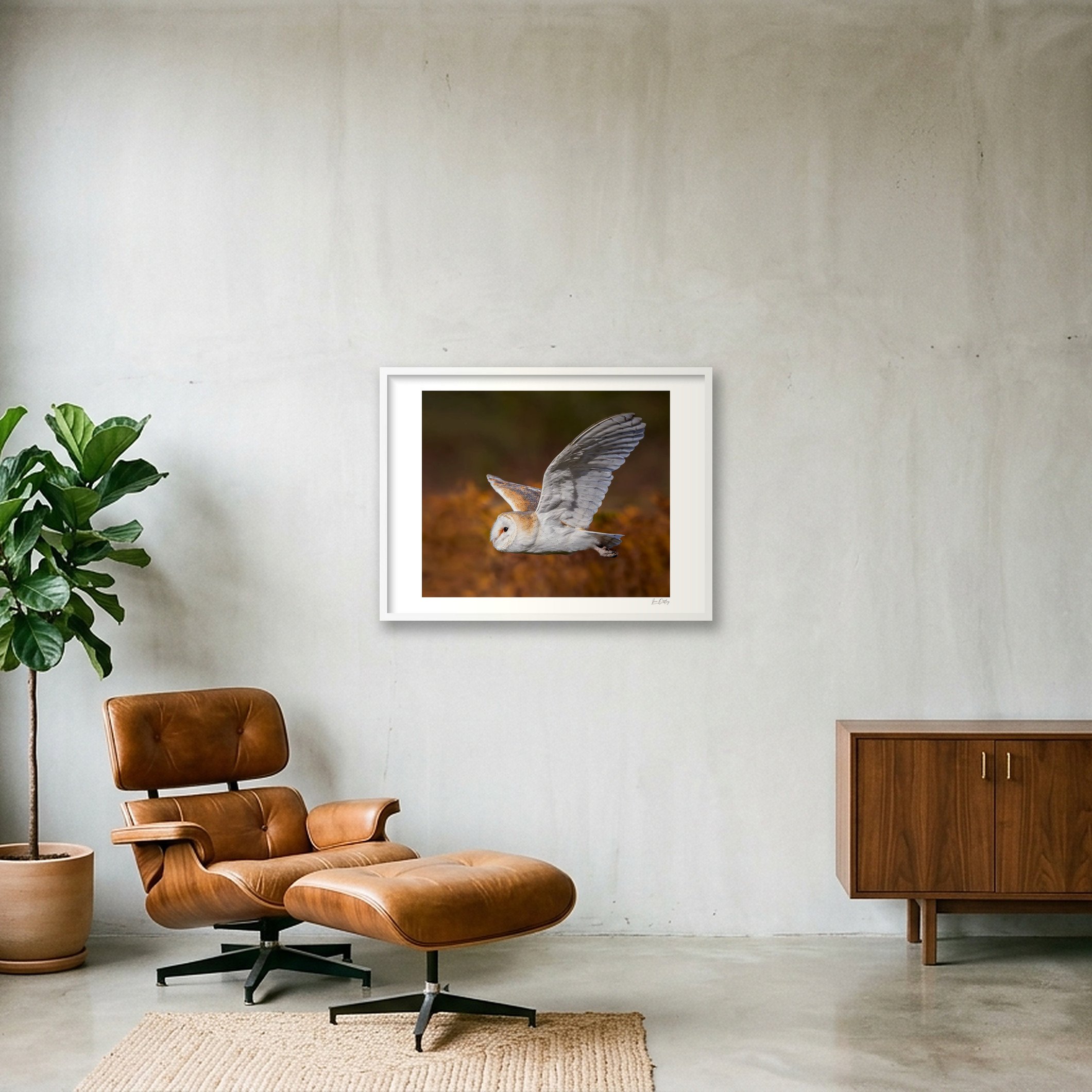 shot_wall_71997191.jpg