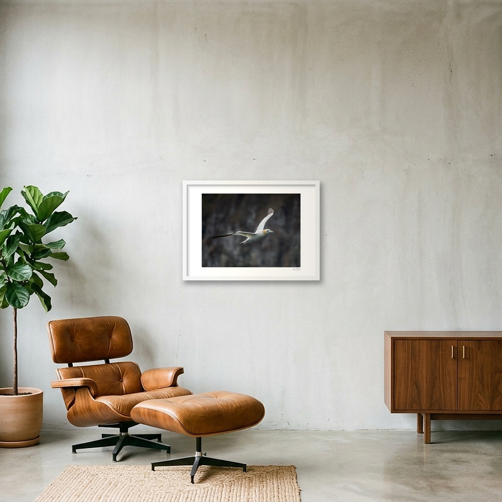 shot_wall_6c8b1f67.jpg