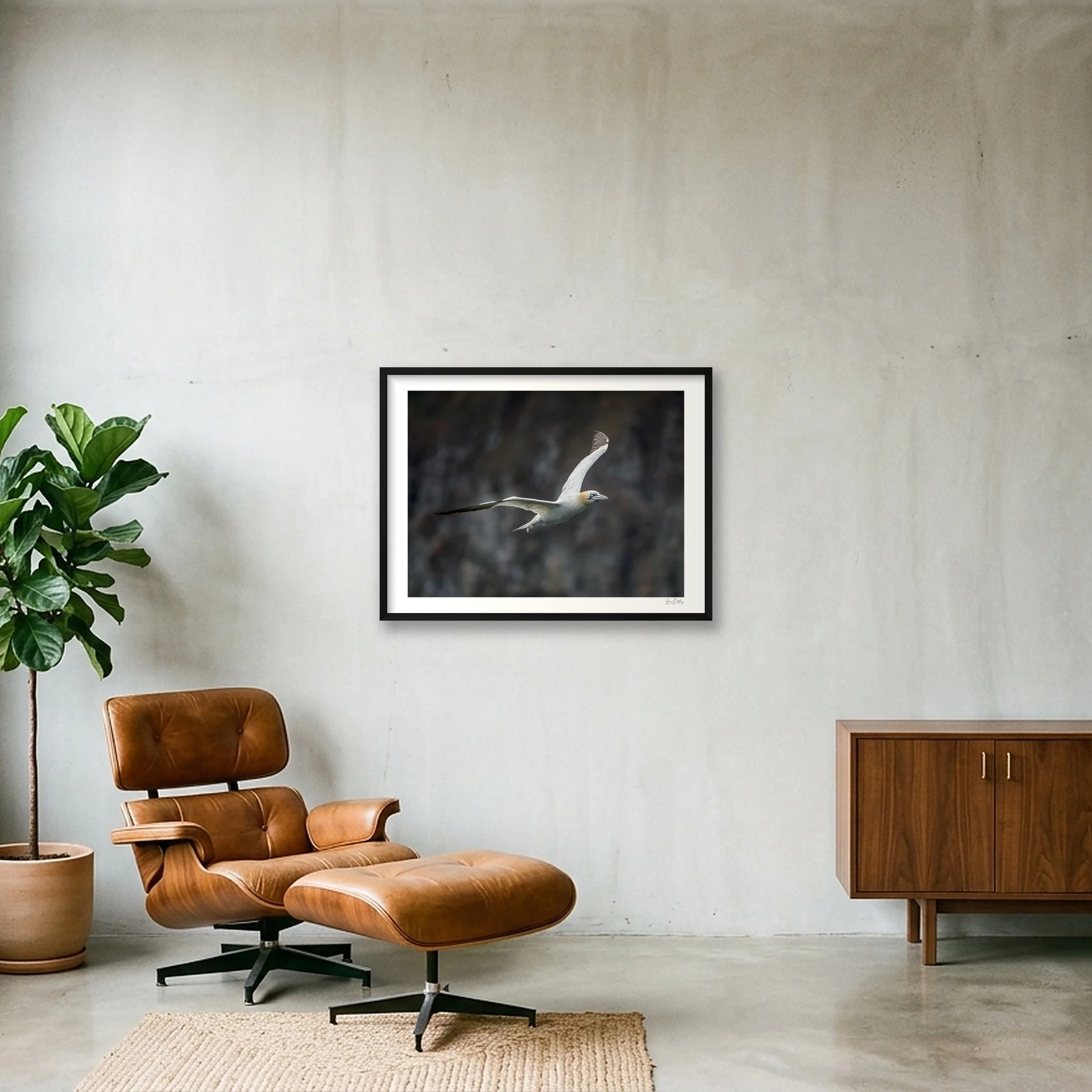 shot_wall_4a016927.jpg