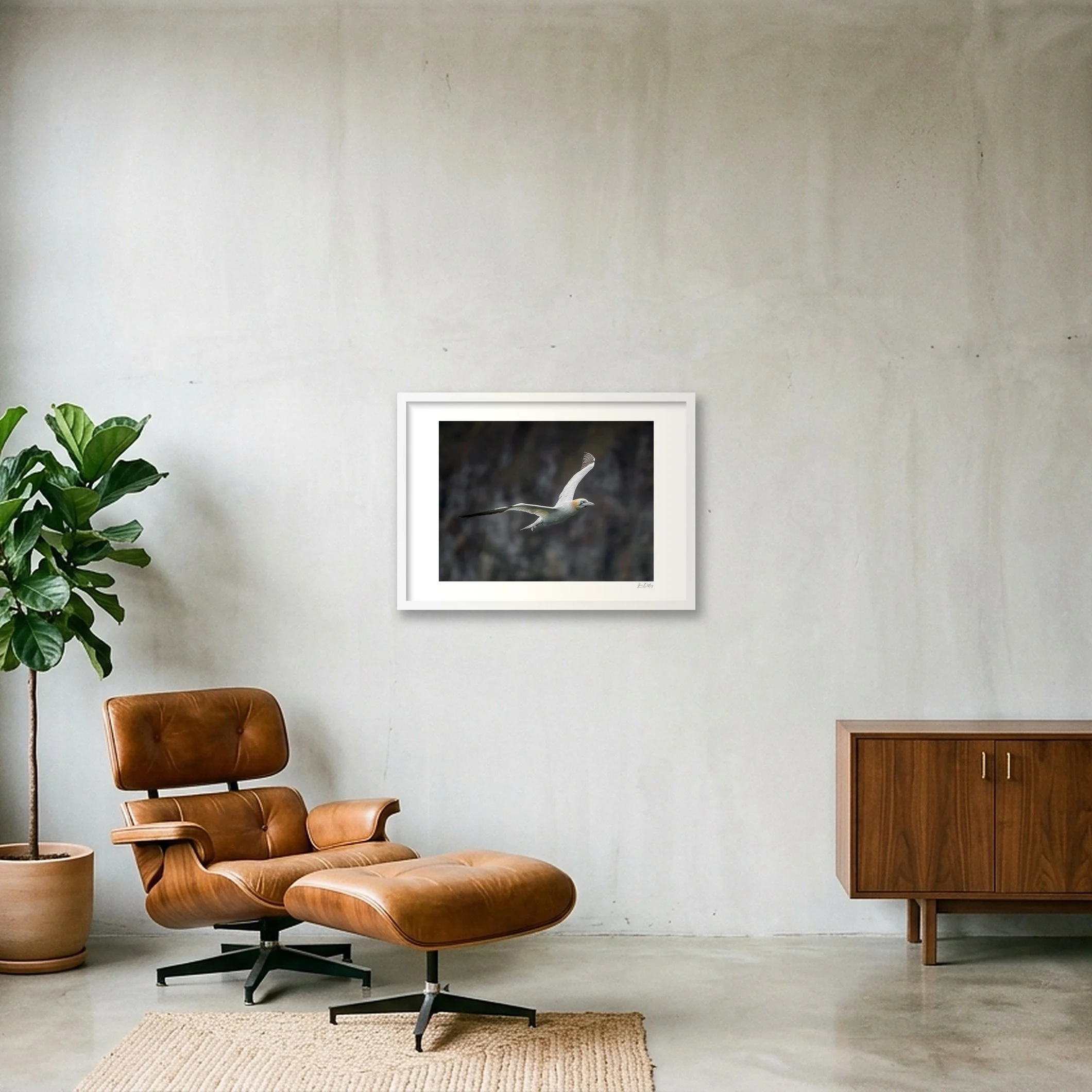 shot_wall_6c8b1f67.jpg