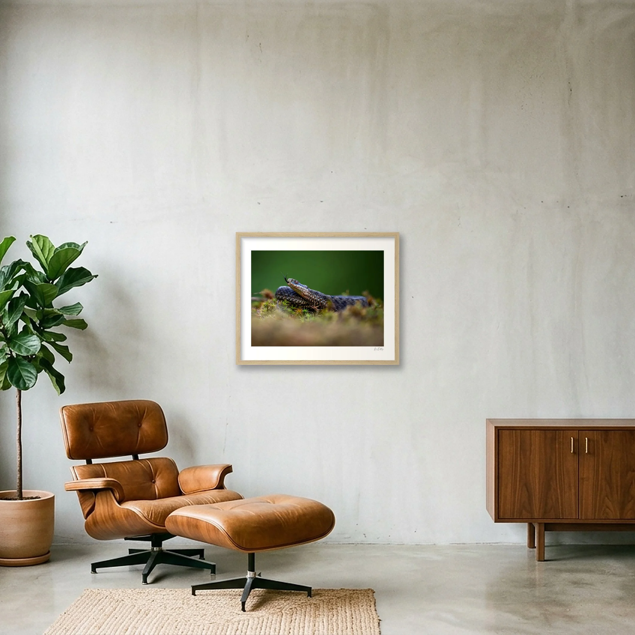 shot_wall_51081531.jpg