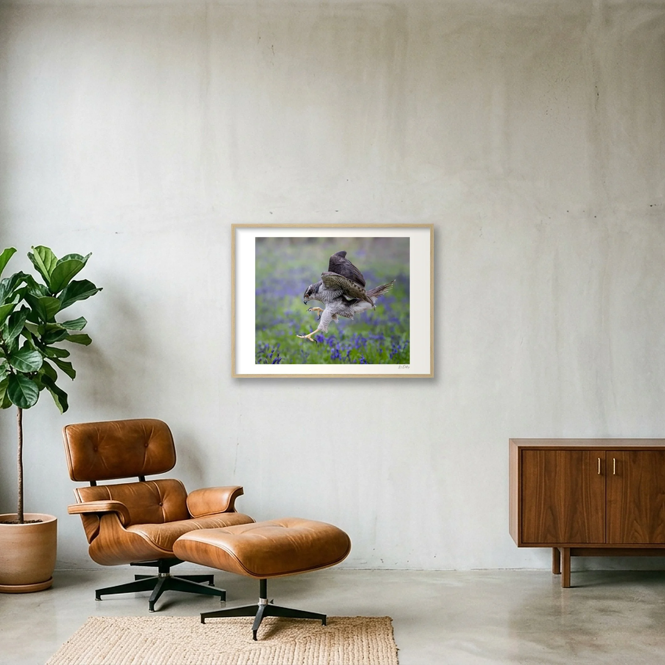 shot_wall_8efe63db.jpg