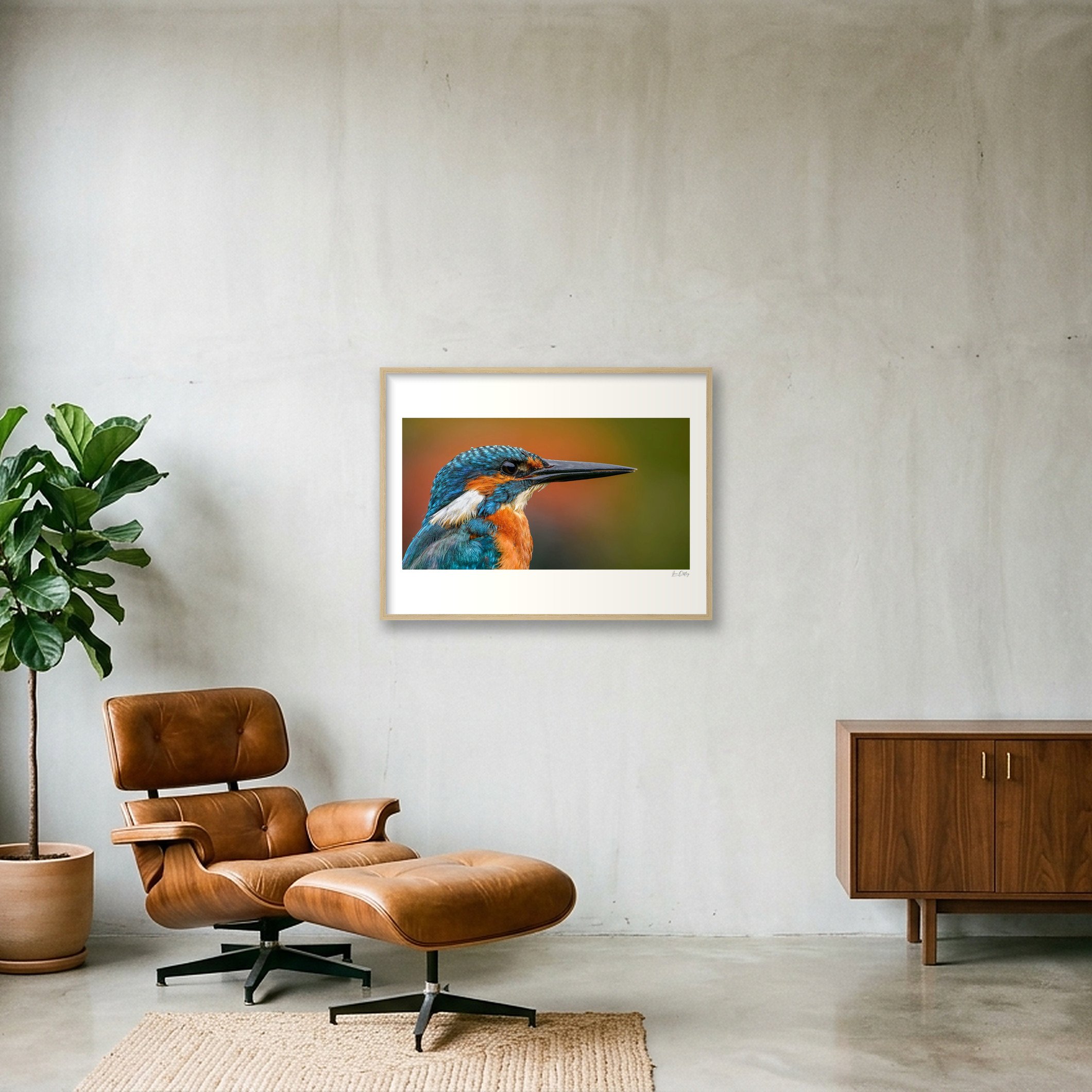 shot_wall_ce0a7722.jpg
