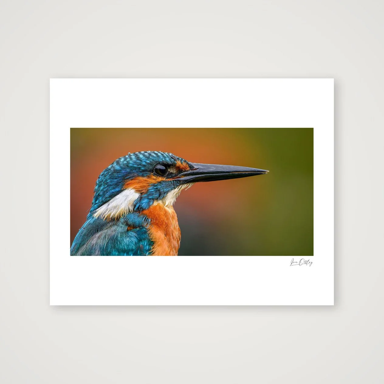 shot_table_82120d13.jpg