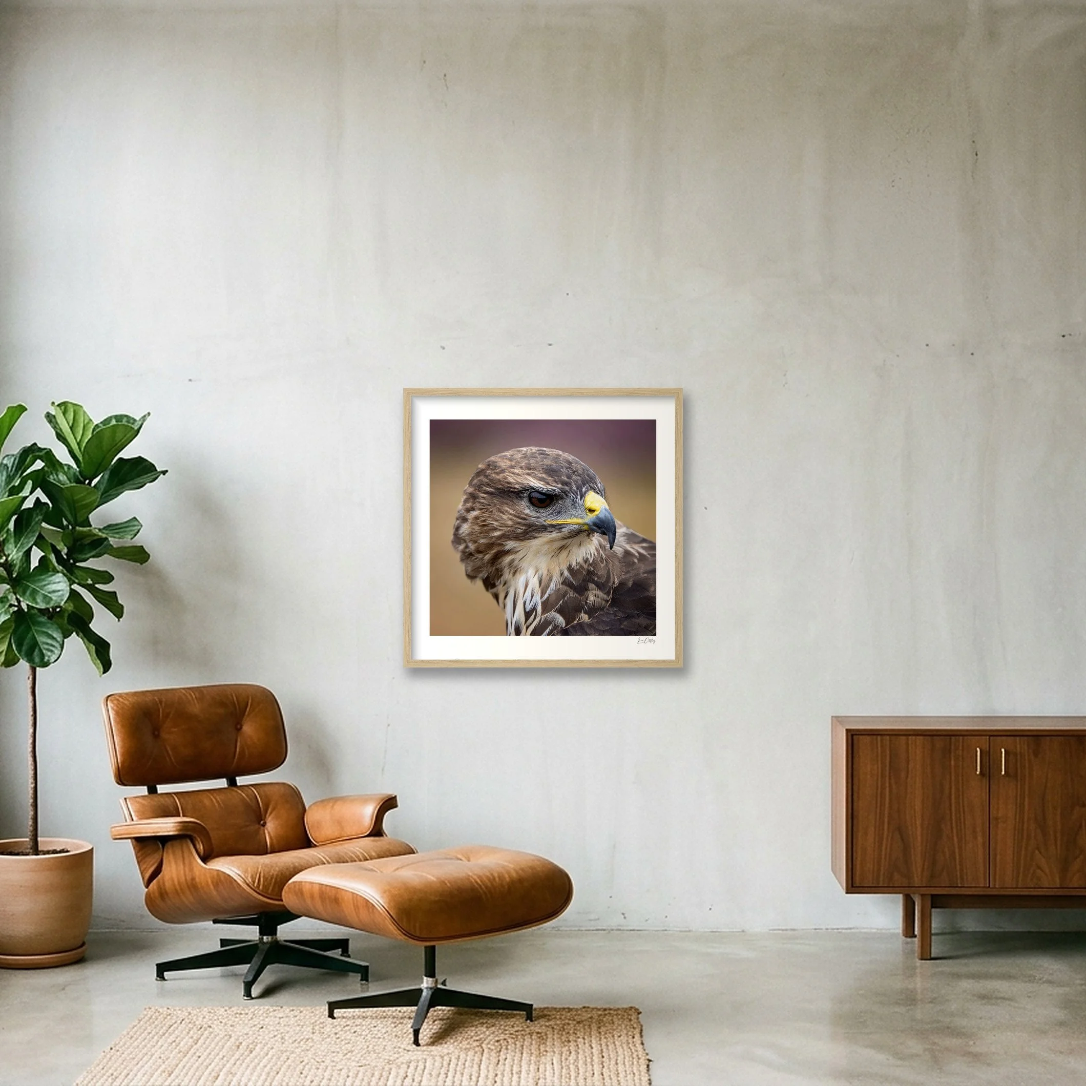 shot_wall_ebd20a52.jpg