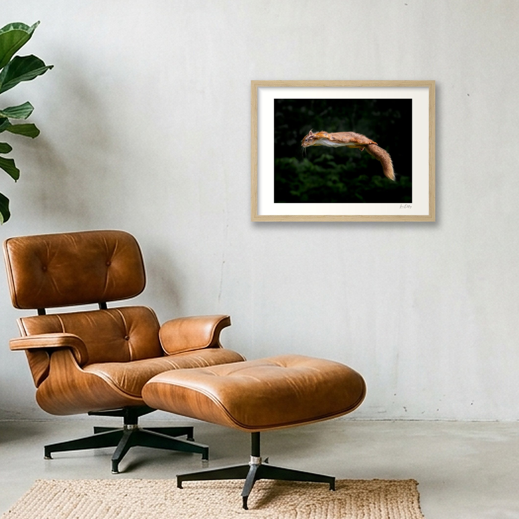 shot_wall_cefd9f5f.jpg